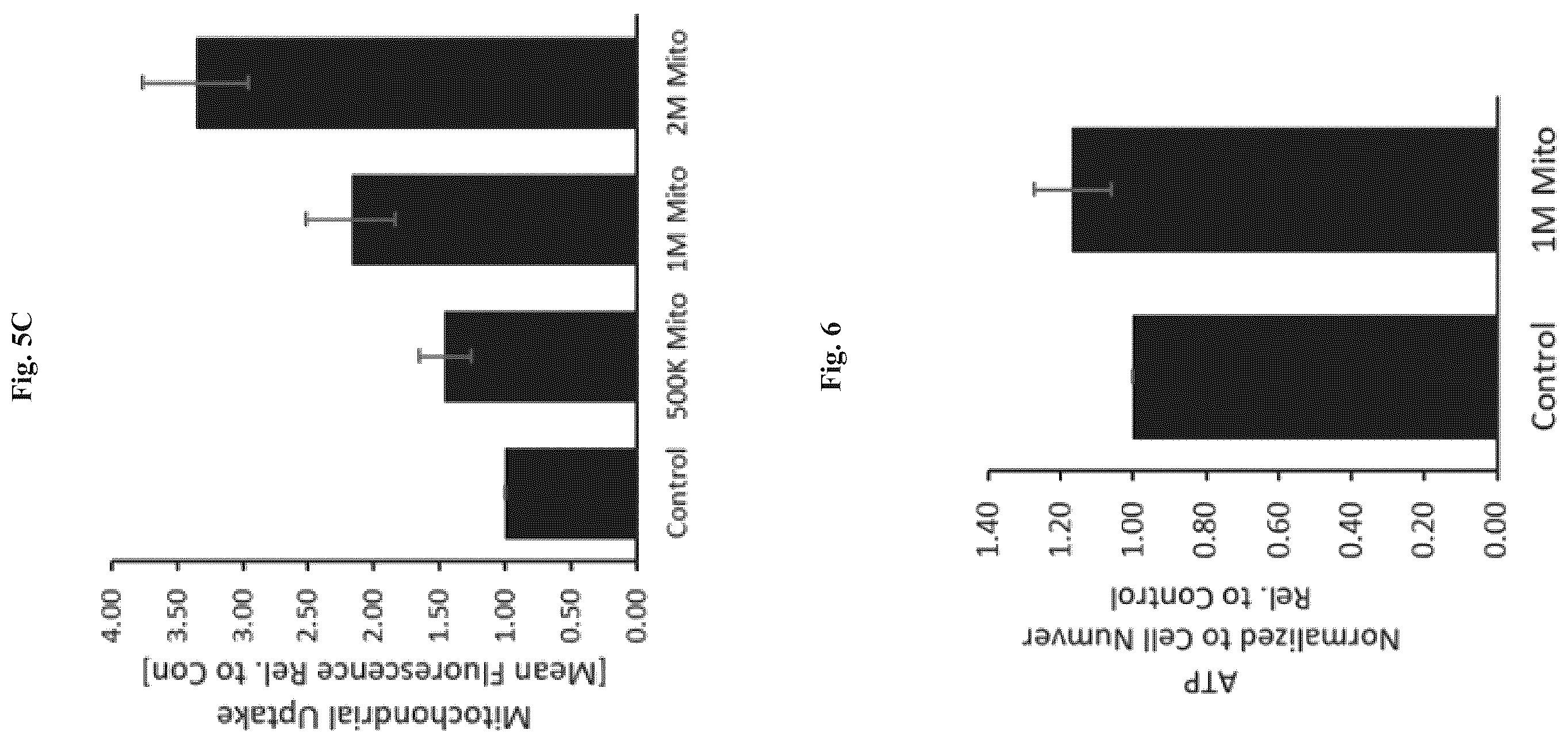 Patent US12508282 Figure 8 – Mitochondrial transplantation and use thereof in ocular diseases