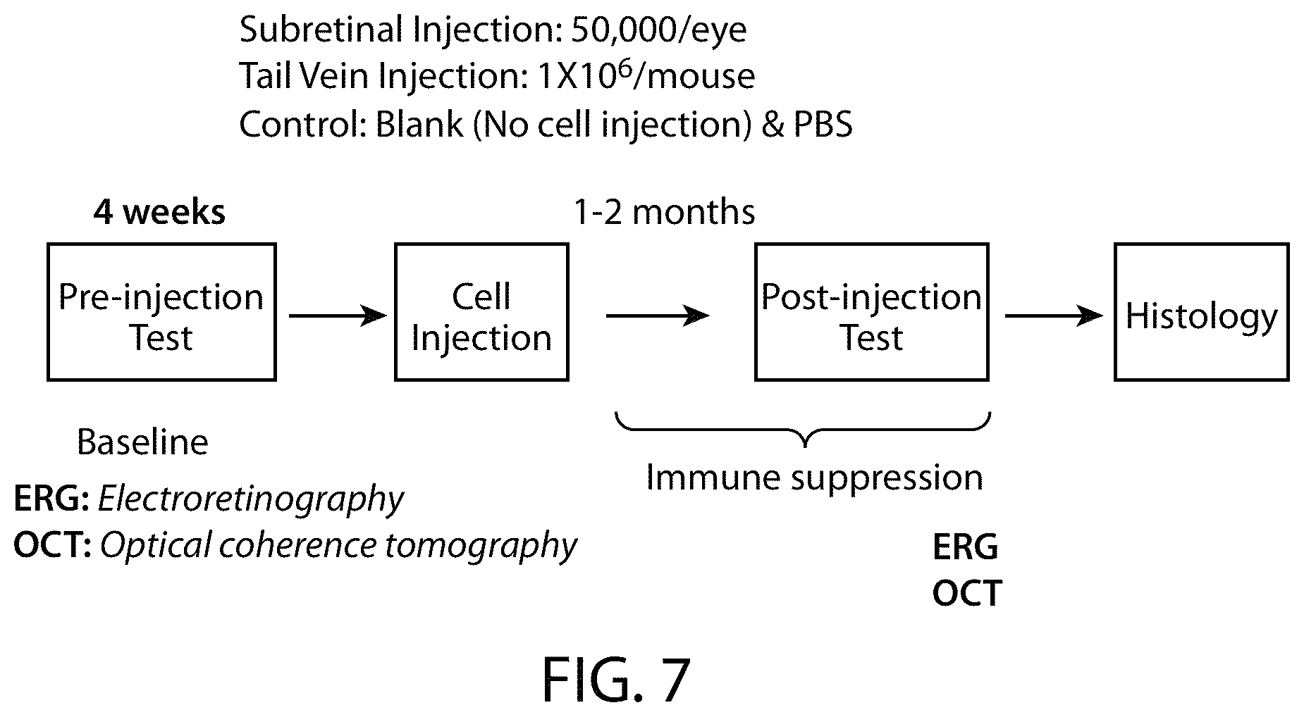 Patent US12508284 Figure 8 – Photoreceptors and photoreceptor progenitors produced from pluripotent stem cells