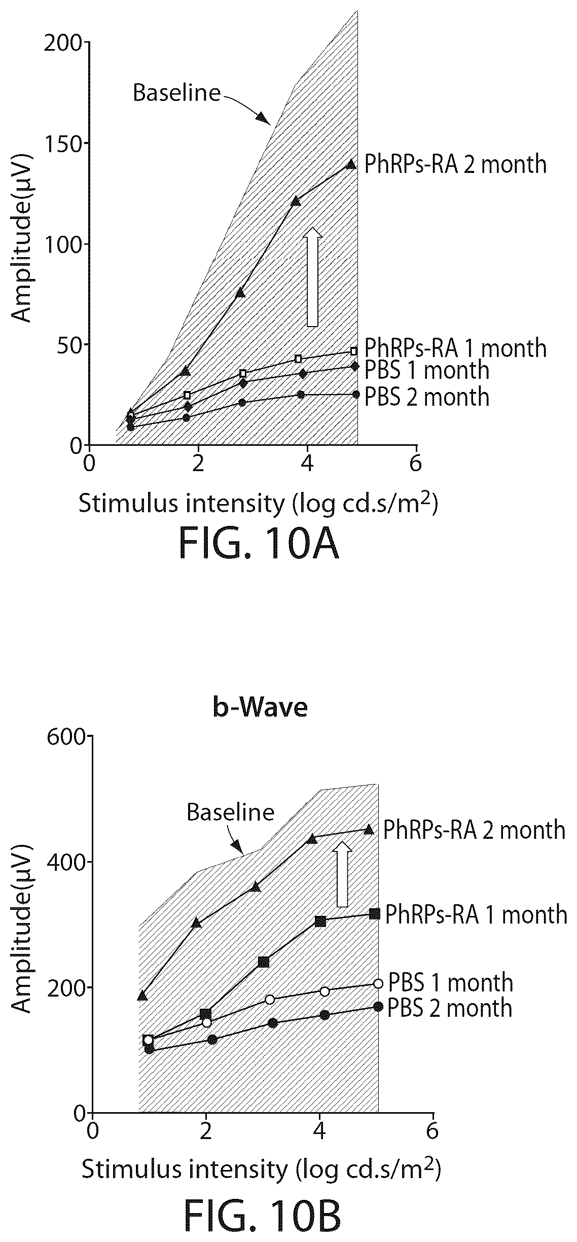 Patent US12508284 Figure 11 – Photoreceptors and photoreceptor progenitors produced from pluripotent stem cells