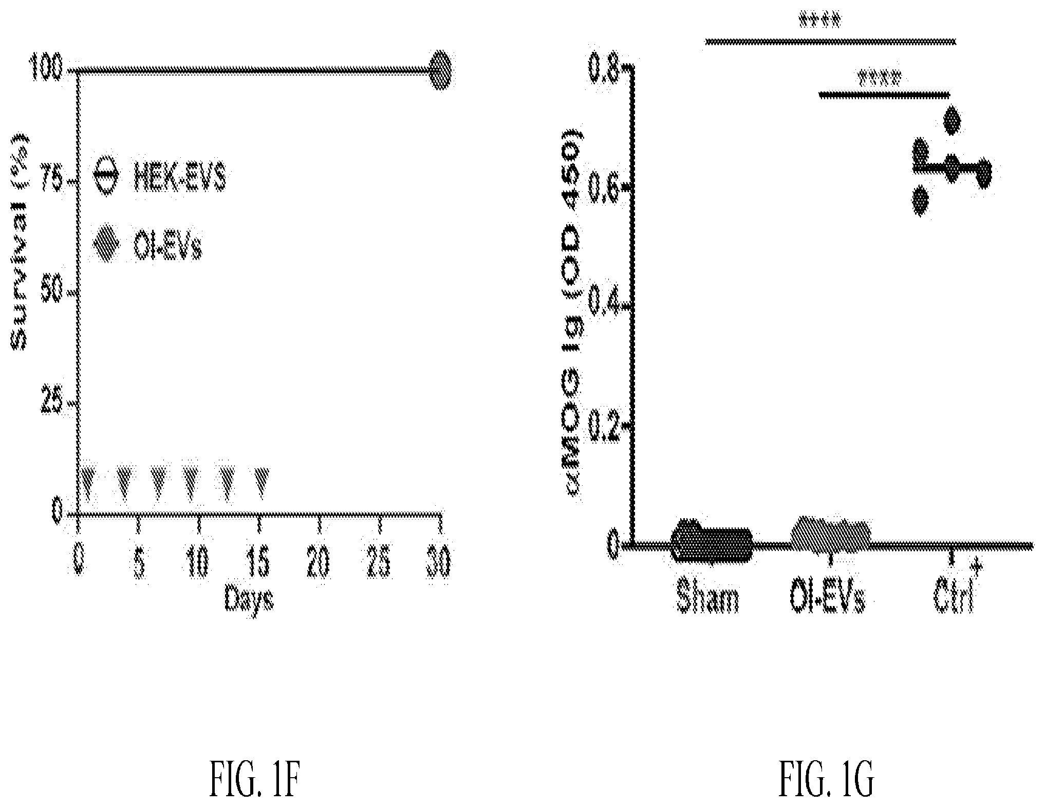 Patent US12508285 Figure 3 – Oligodendrocyte-derived extracellular vesicles for therapy of multiple sclerosis