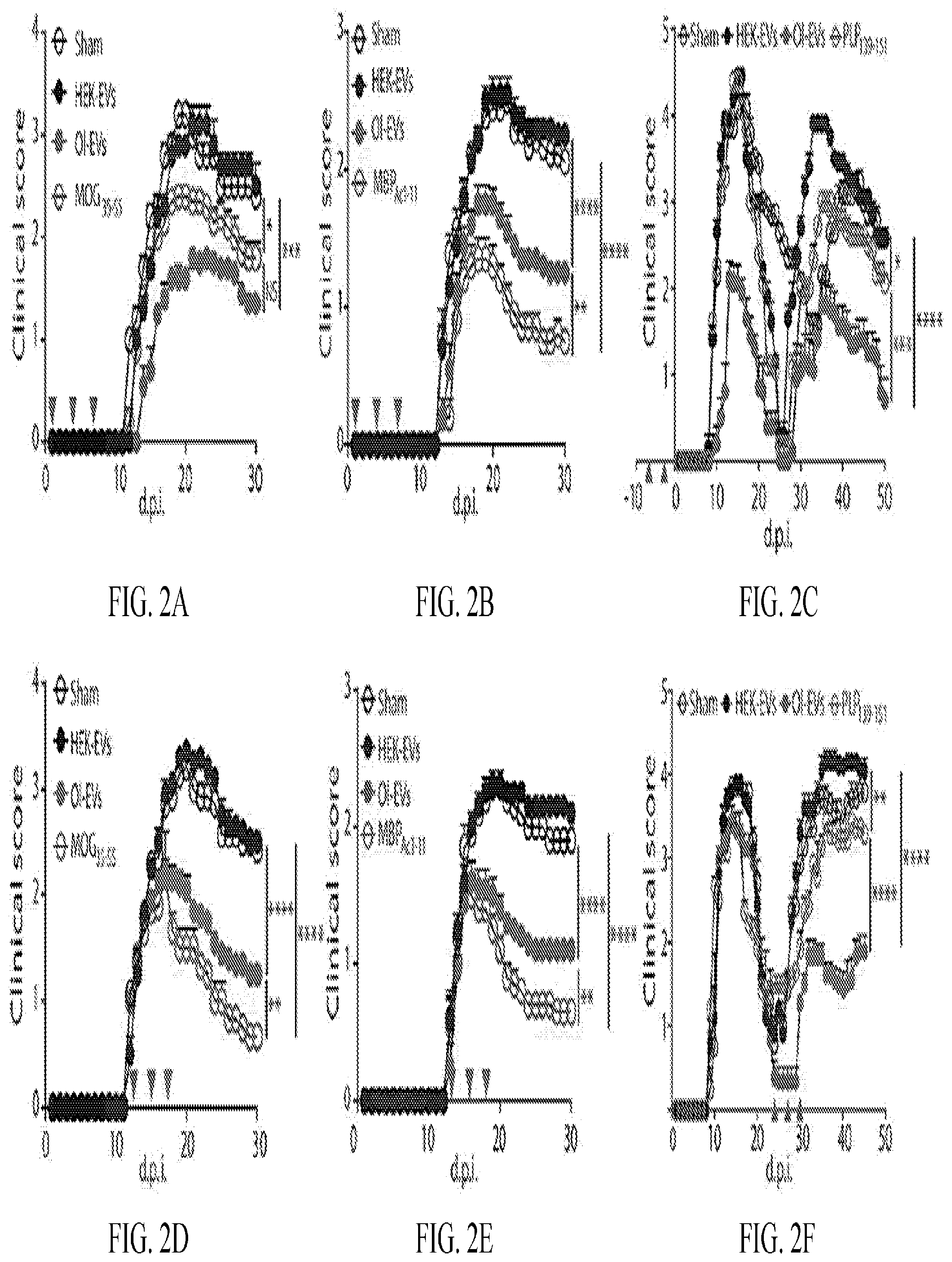 Patent US12508285 Figure 4 – Oligodendrocyte-derived extracellular vesicles for therapy of multiple sclerosis