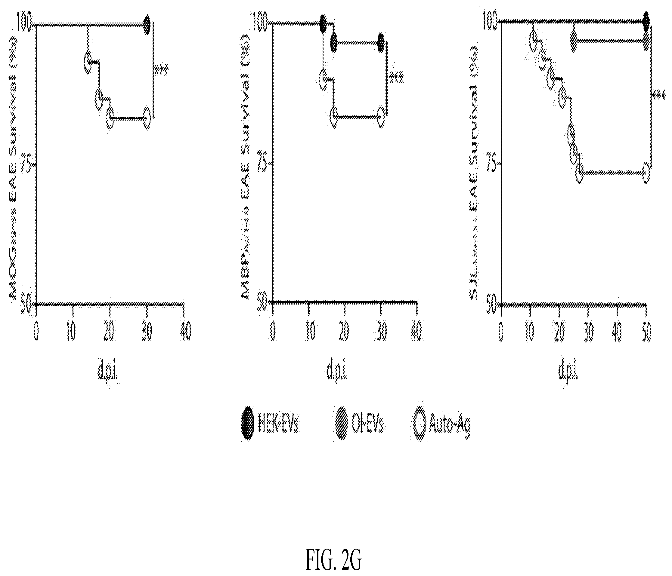 Patent US12508285 Figure 5 – Oligodendrocyte-derived extracellular vesicles for therapy of multiple sclerosis