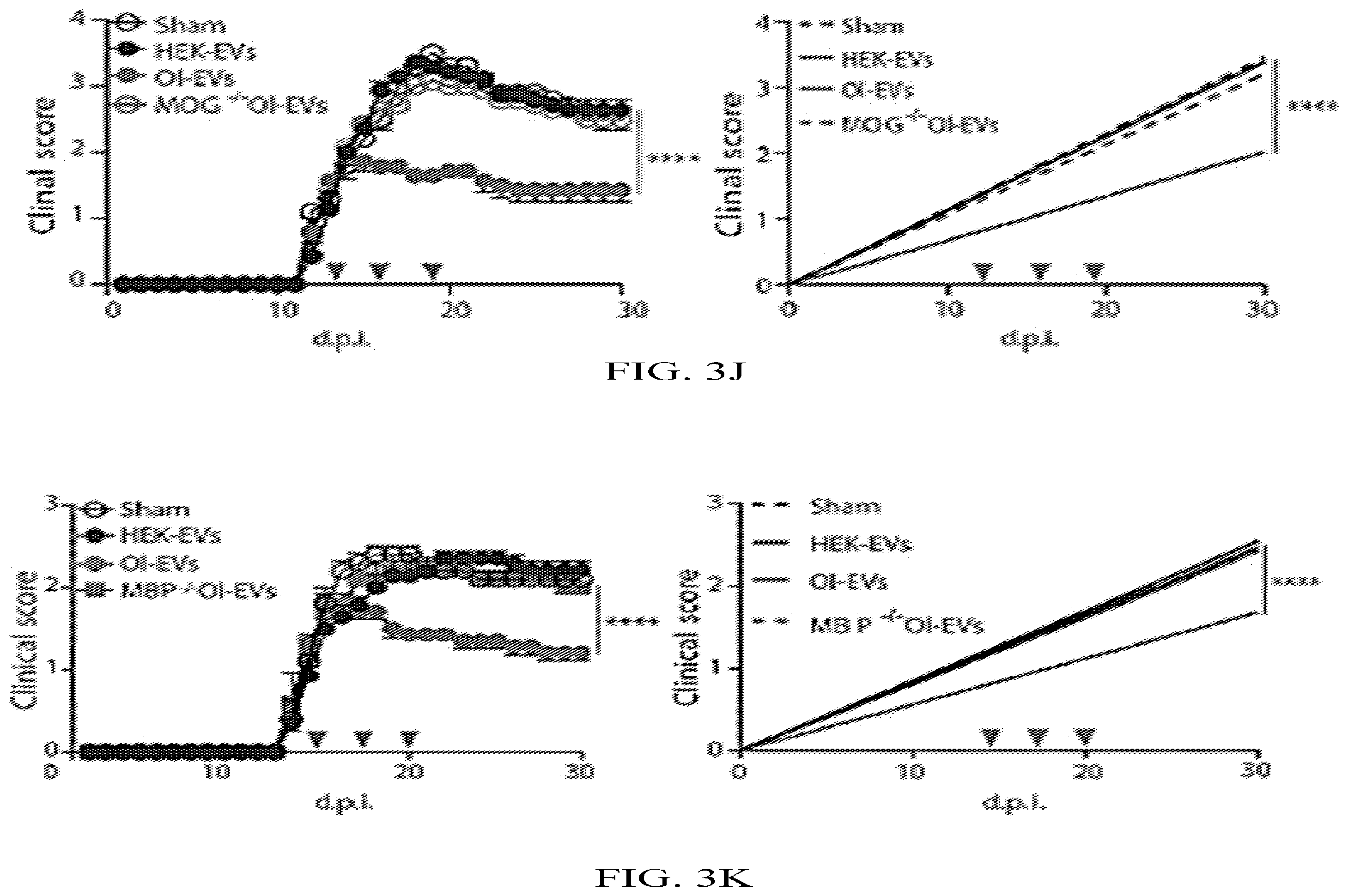 Patent US12508285 Figure 9 – Oligodendrocyte-derived extracellular vesicles for therapy of multiple sclerosis