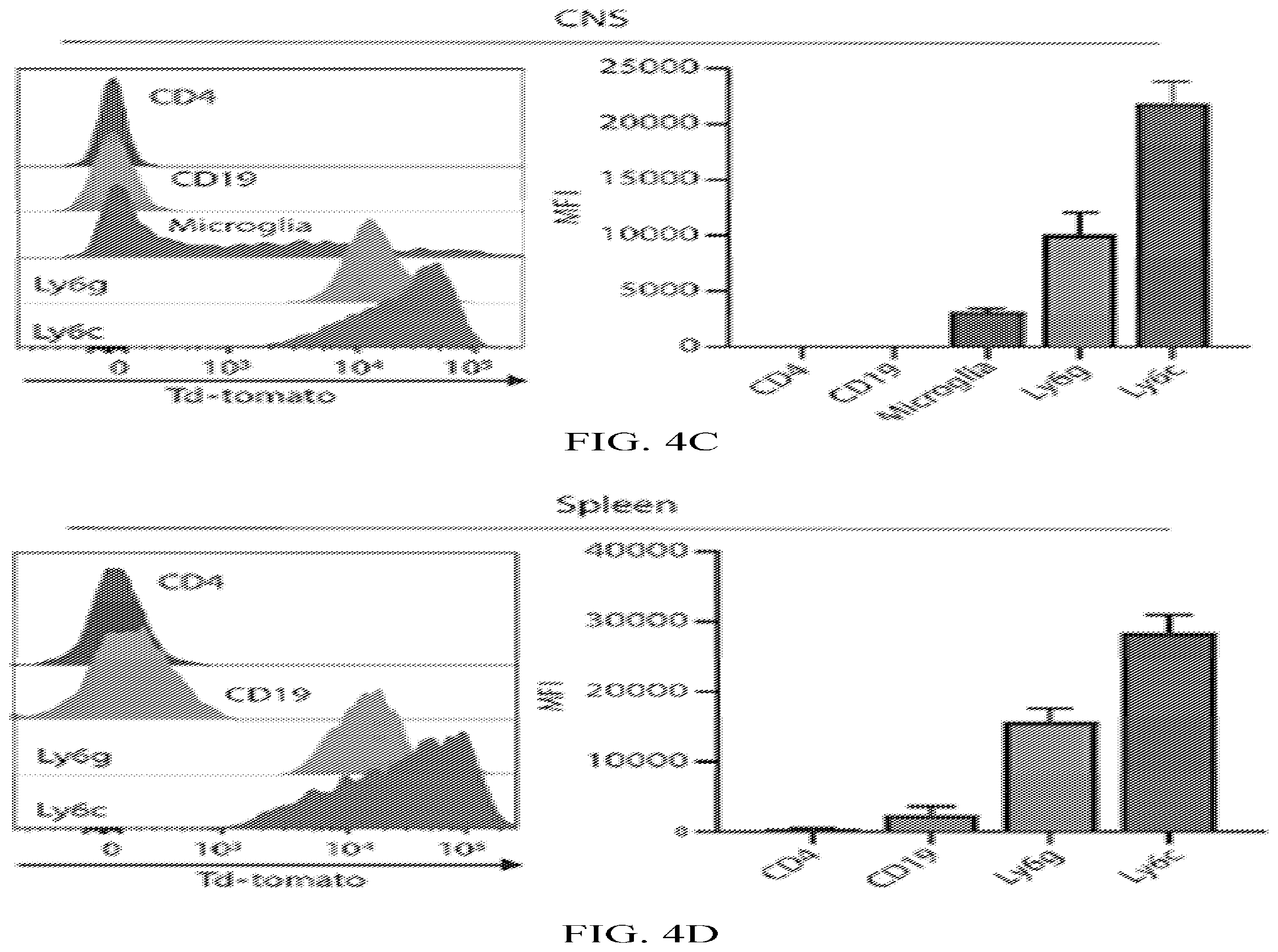 Patent US12508285 Figure 11 – Oligodendrocyte-derived extracellular vesicles for therapy of multiple sclerosis