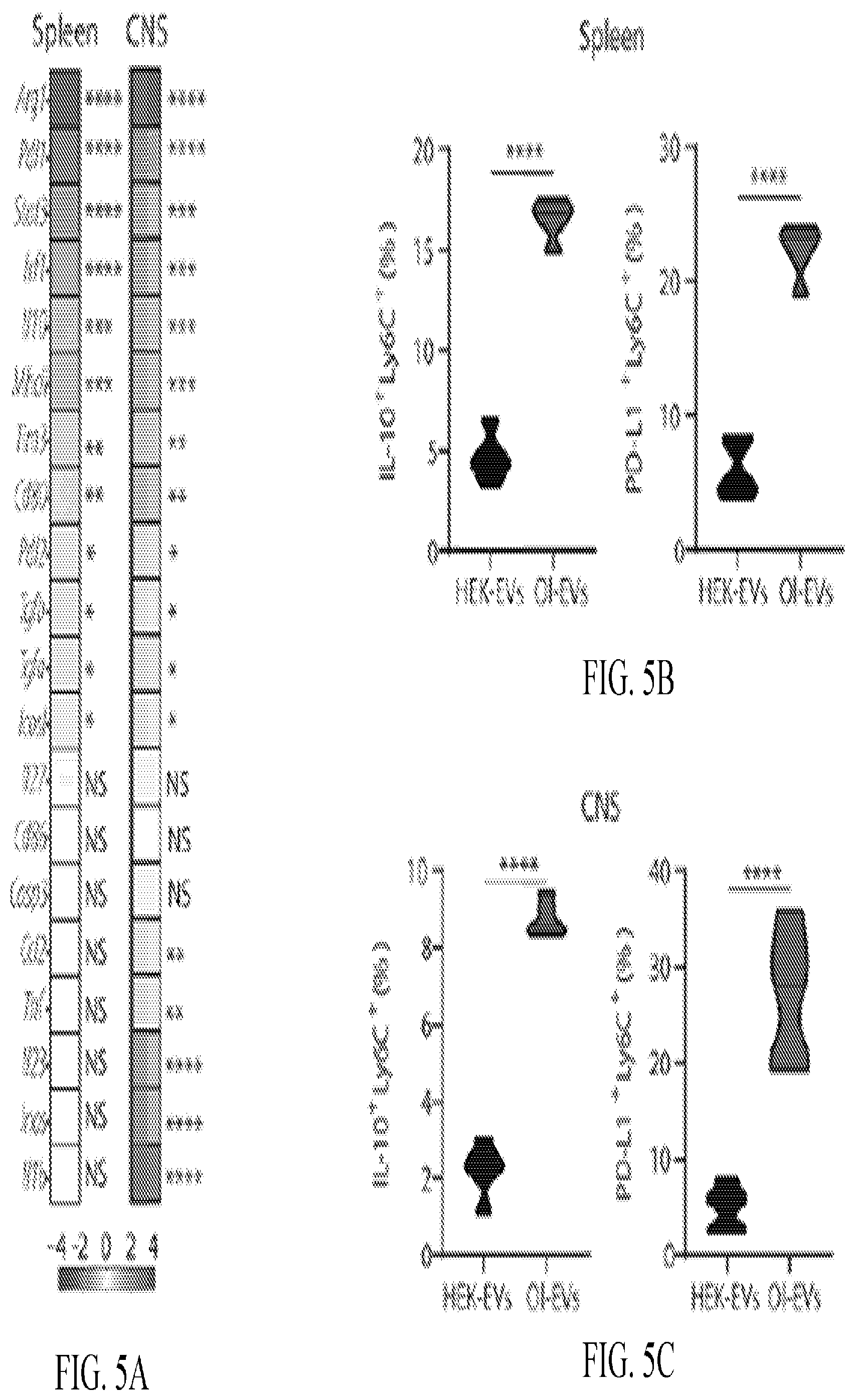 Patent US12508285 Figure 13 – Oligodendrocyte-derived extracellular vesicles for therapy of multiple sclerosis
