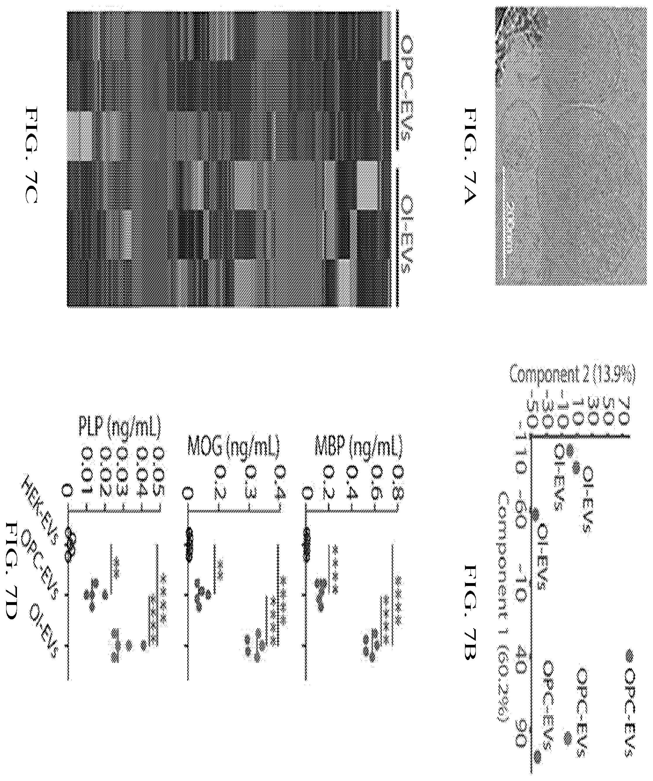 Patent US12508285 Figure 20 – Oligodendrocyte-derived extracellular vesicles for therapy of multiple sclerosis