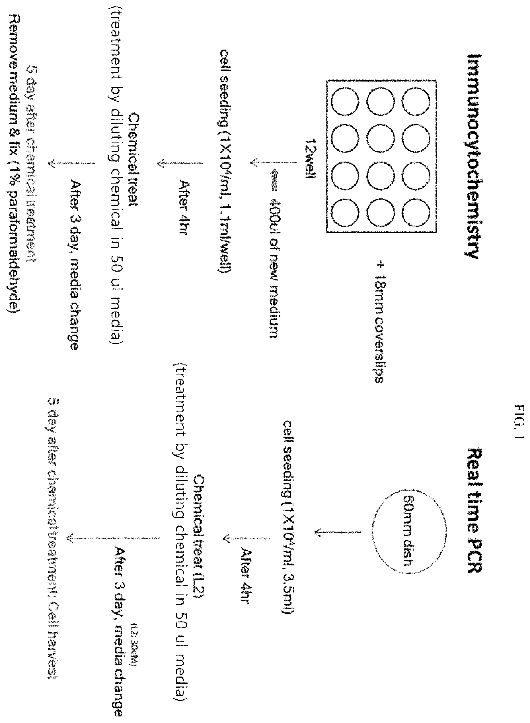 Patent US12508286 Figure 1 – Composition for treating spinal cord injury, comprising stem cells treated with novel compound