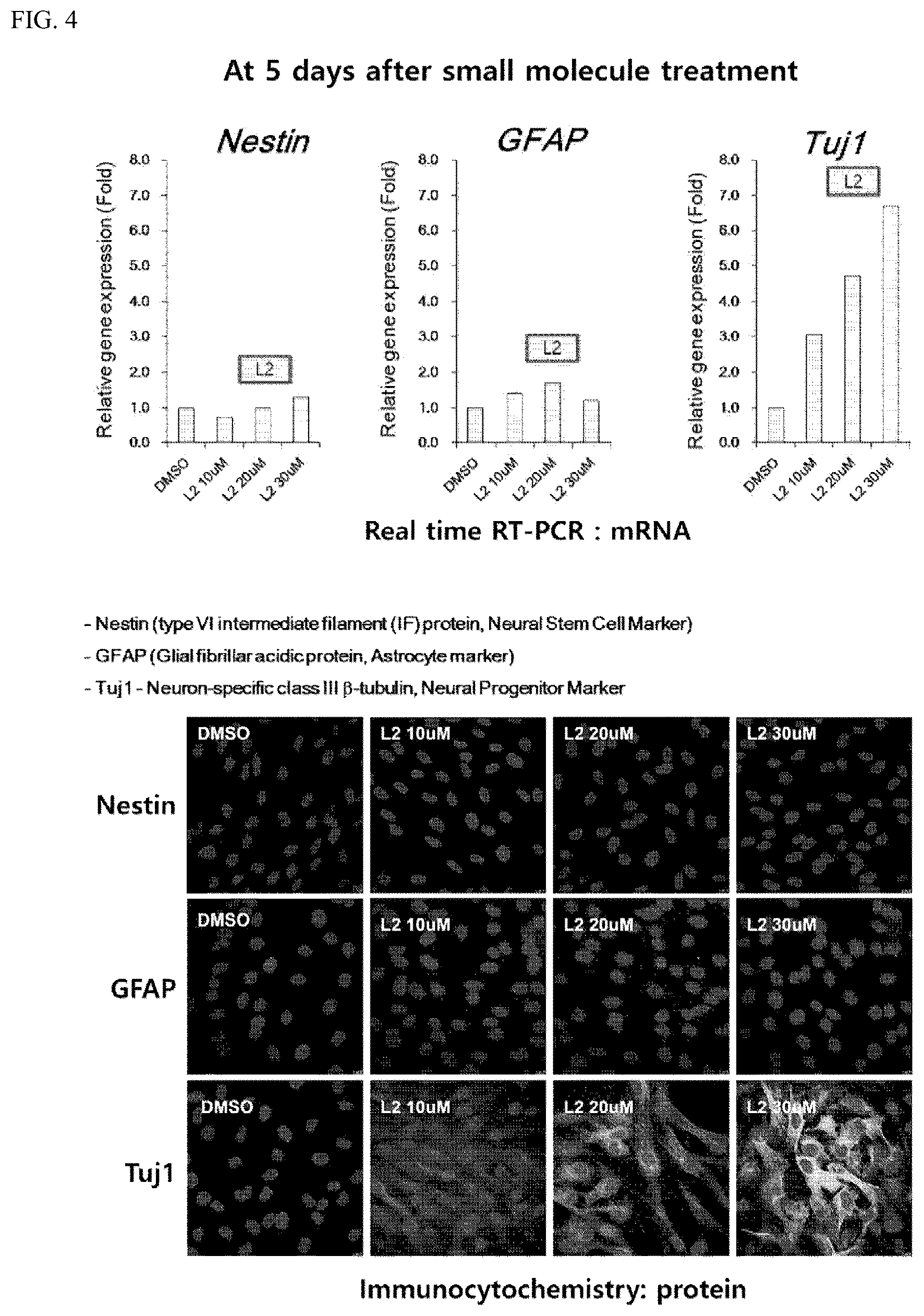 Patent US12508286 Figure 4 – Composition for treating spinal cord injury, comprising stem cells treated with novel compound