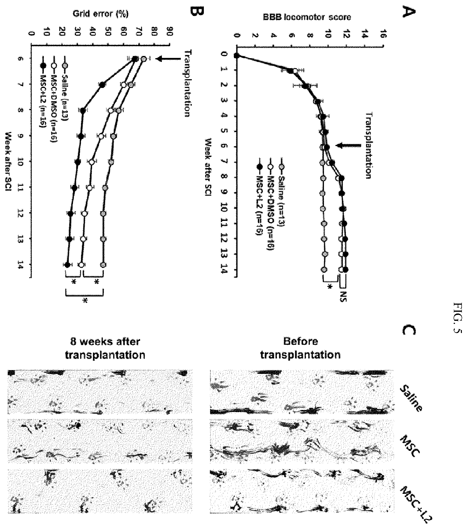 Patent US12508286 Figure 5 – Composition for treating spinal cord injury, comprising stem cells treated with novel compound