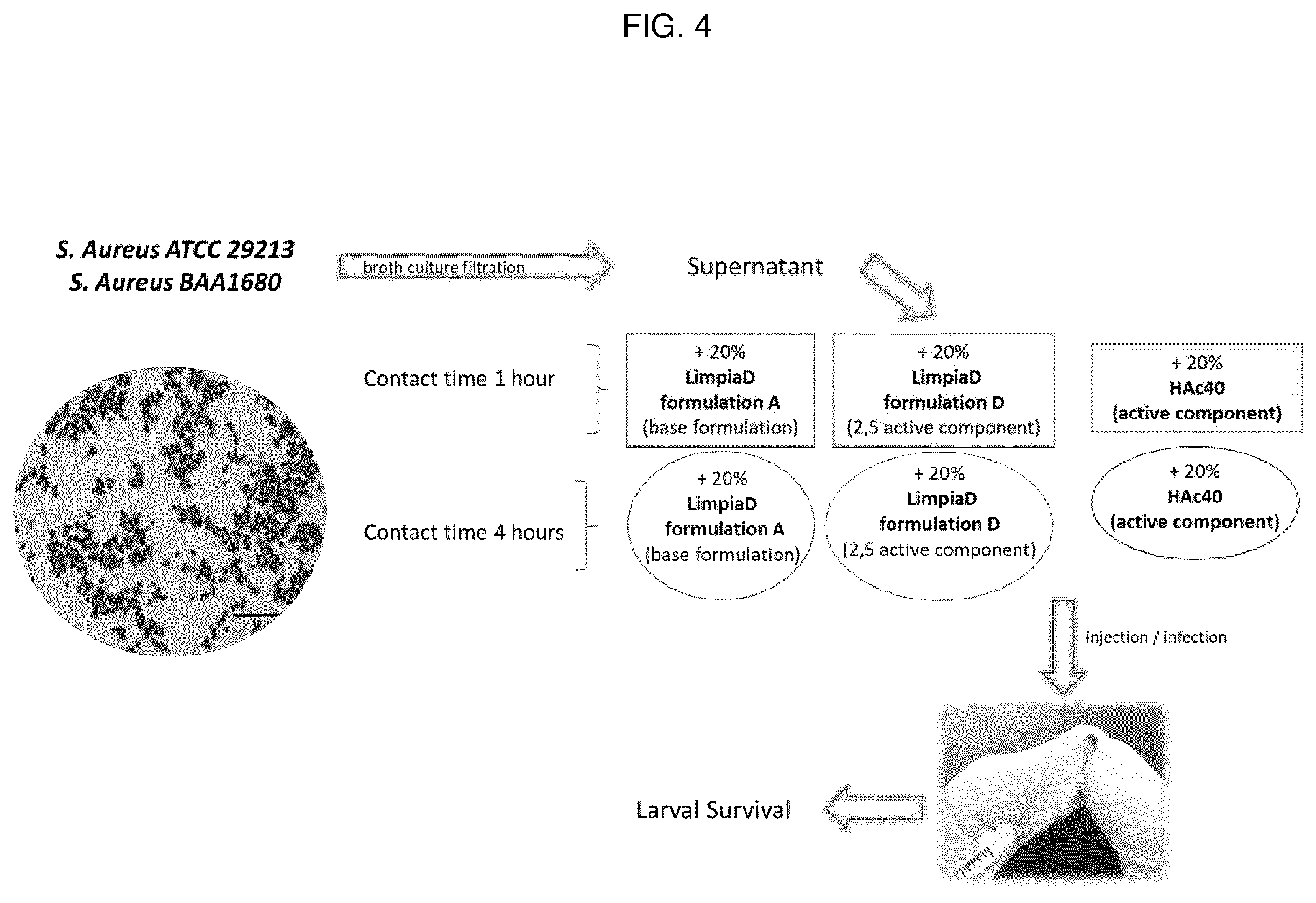 Patent US12508288 Figure 4 – Bacterial strain and medical uses thereof