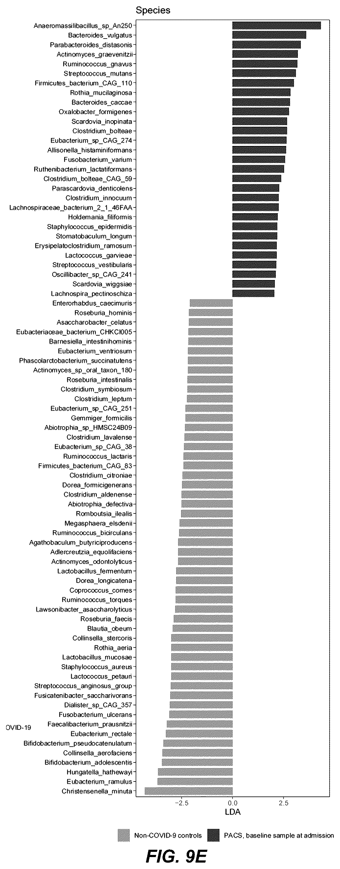 Patent US12508289 Figure 19 – Probiotic compositions for long COVID