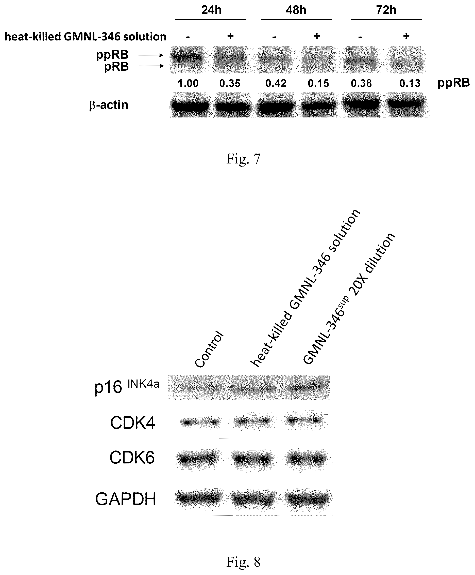 Patent US12508290 Figure 4 – Use of Lactobacillus paracasei GMNL-346 for anti-oral cancer treatment and thereof