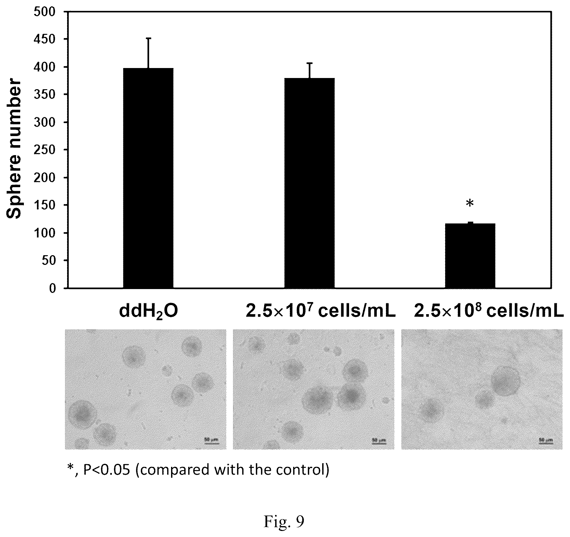 Patent US12508290 Figure 5 – Use of Lactobacillus paracasei GMNL-346 for anti-oral cancer treatment and thereof