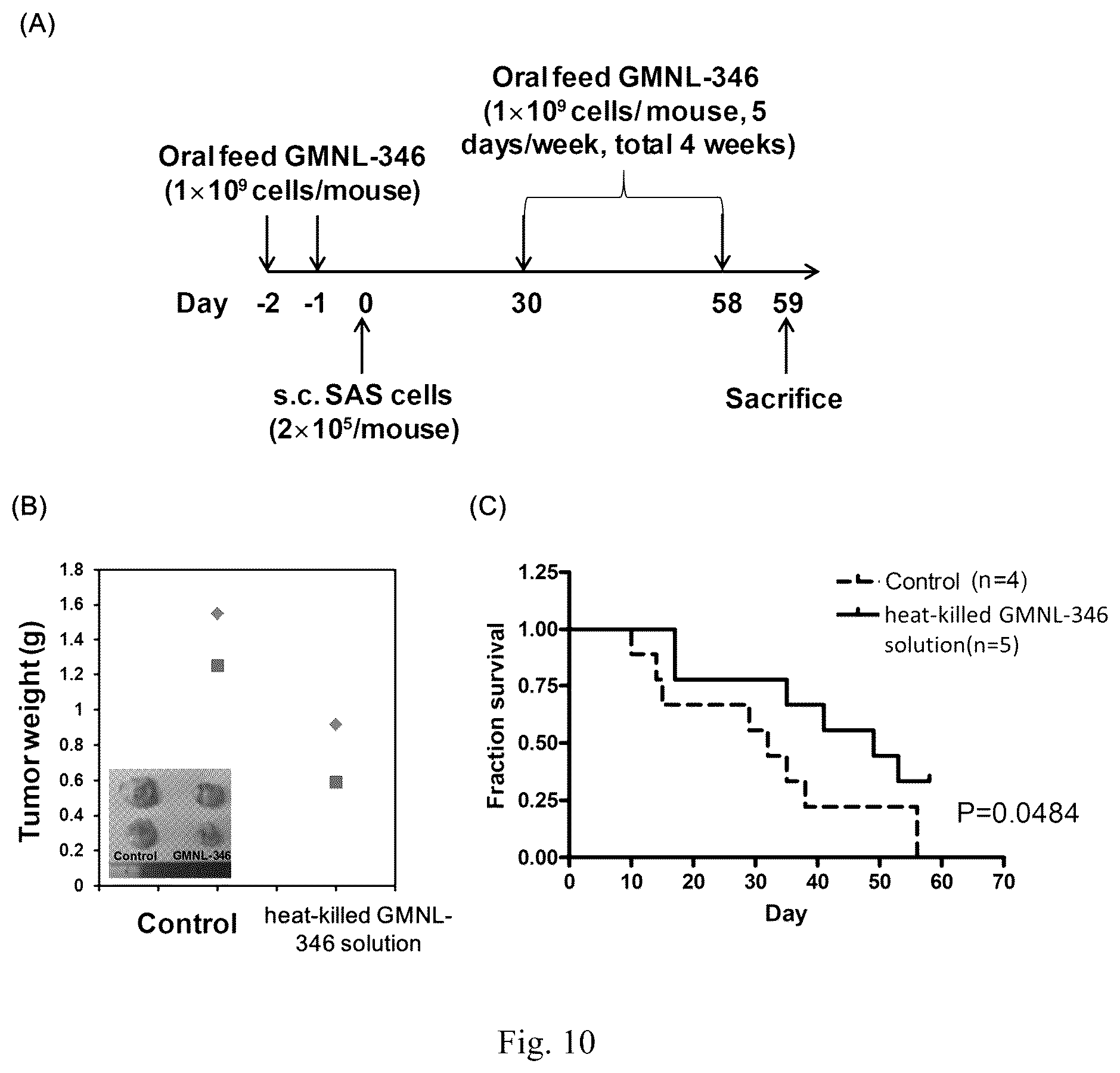 Patent US12508290 Figure 6 – Use of Lactobacillus paracasei GMNL-346 for anti-oral cancer treatment and thereof