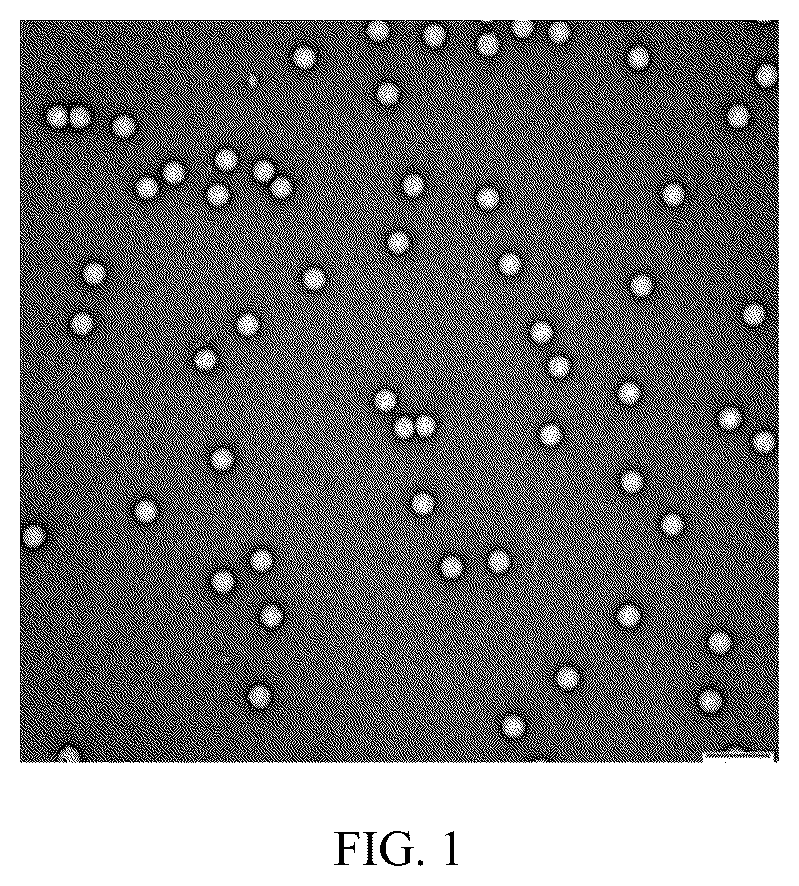 Patent US12508291 Figure 1 – Antitumor virus
