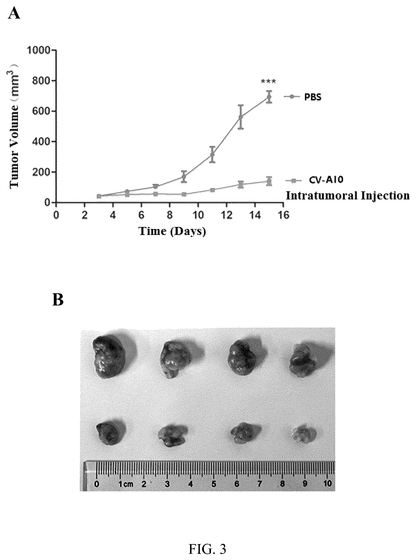 Patent US12508291 Figure 4 – Antitumor virus