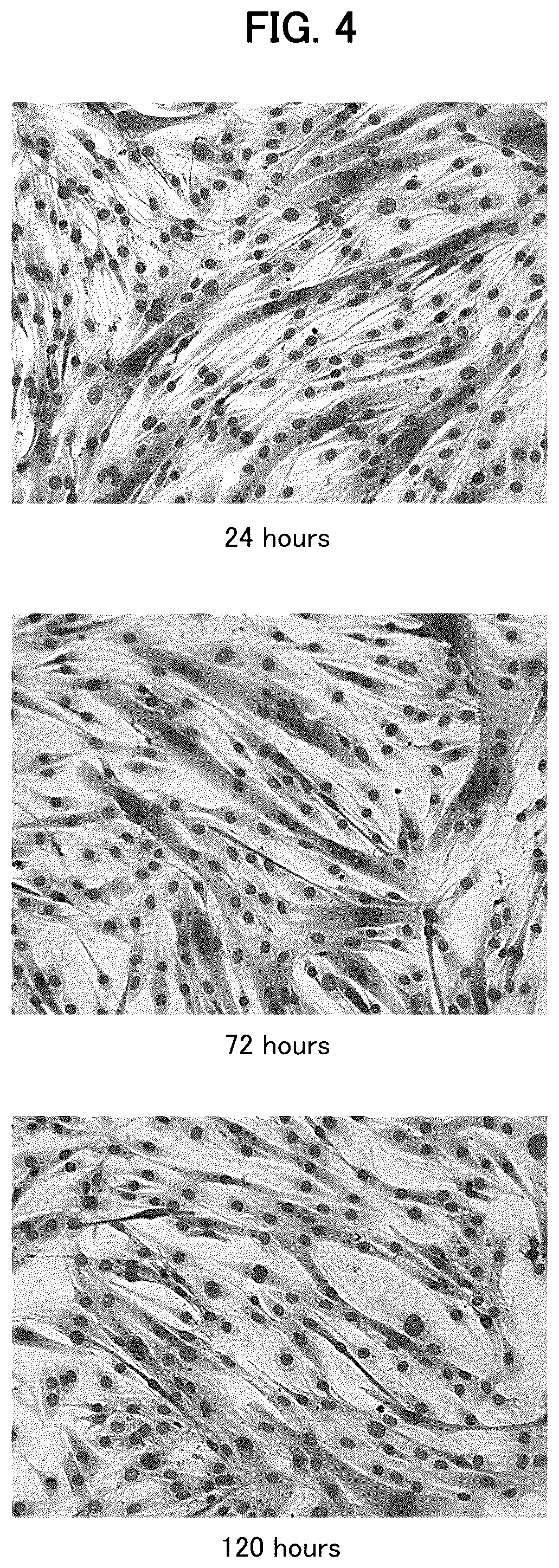 Patent US12508292 Figure 4 – Method for producing sarcopenia-inhibiting food product, sarcopenia-inhibiting food product, and muscle-enhancing food product