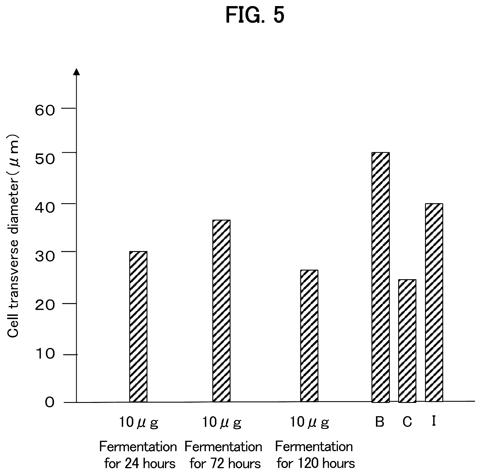 Patent US12508292 Figure 5 – Method for producing sarcopenia-inhibiting food product, sarcopenia-inhibiting food product, and muscle-enhancing food product