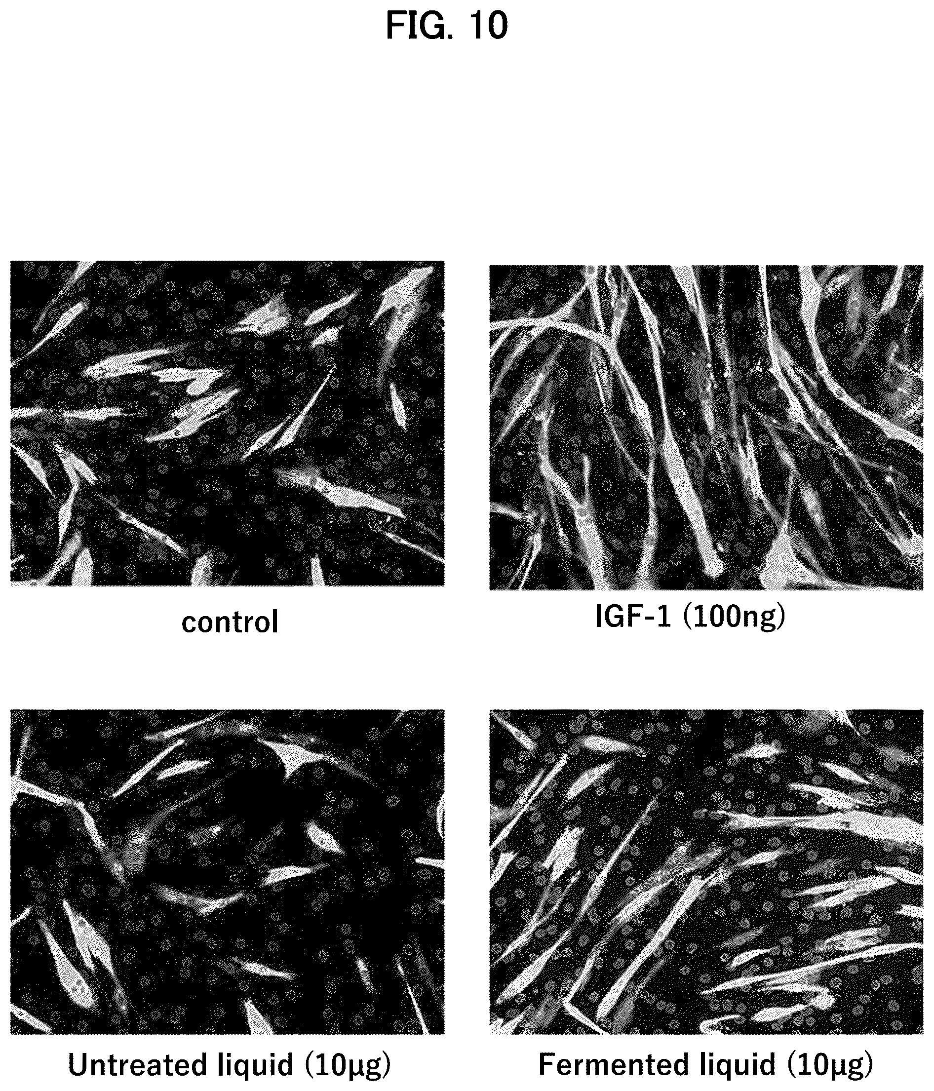 Patent US12508292 Figure 9 – Method for producing sarcopenia-inhibiting food product, sarcopenia-inhibiting food product, and muscle-enhancing food product