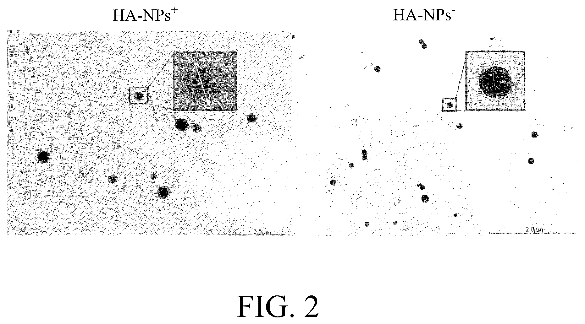 Patent US12508294 Figure 2 – Self-assembled nanoparticle and use thereof for anti-angiogenesis