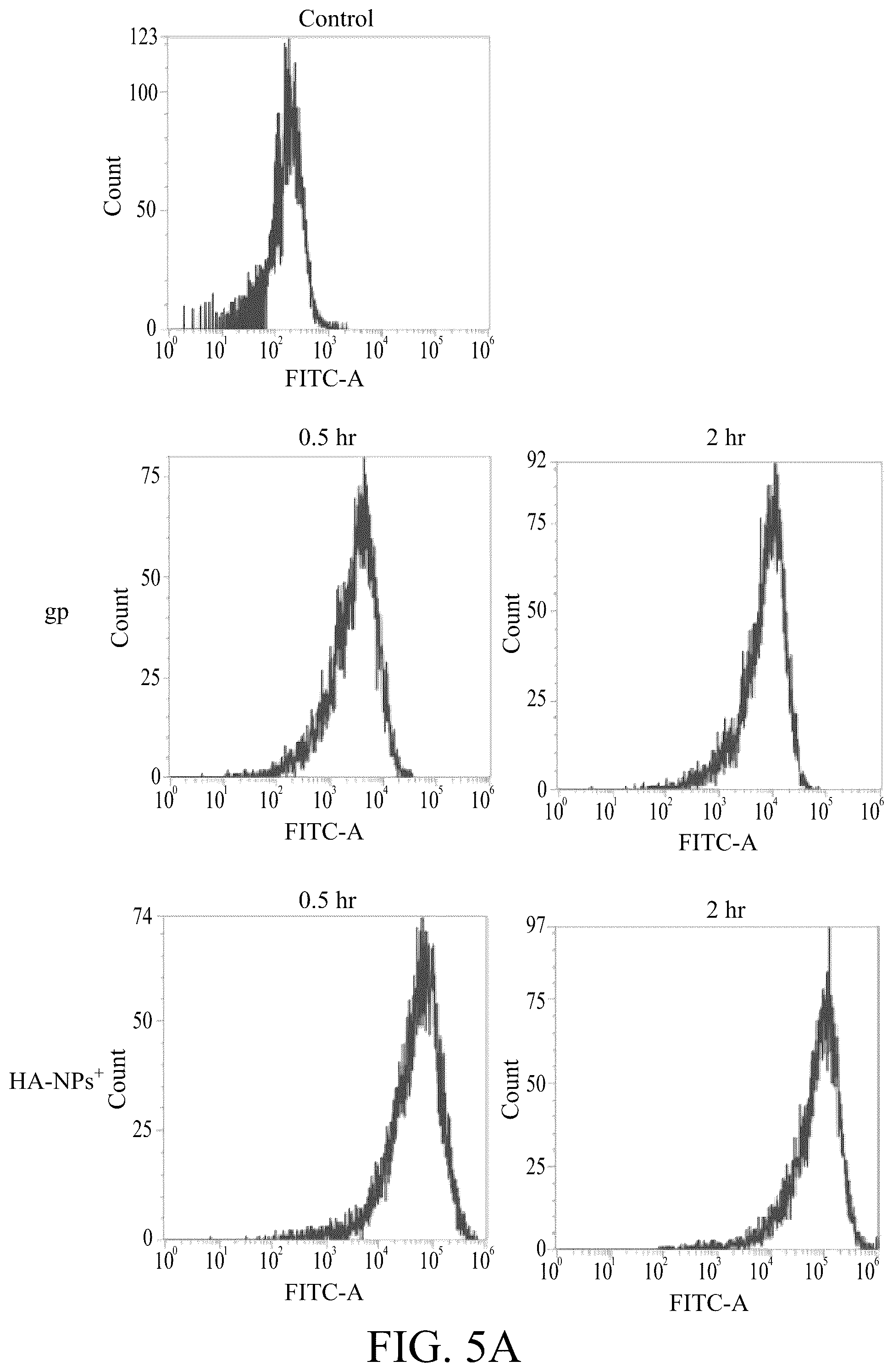 Patent US12508294 Figure 5 – Self-assembled nanoparticle and use thereof for anti-angiogenesis