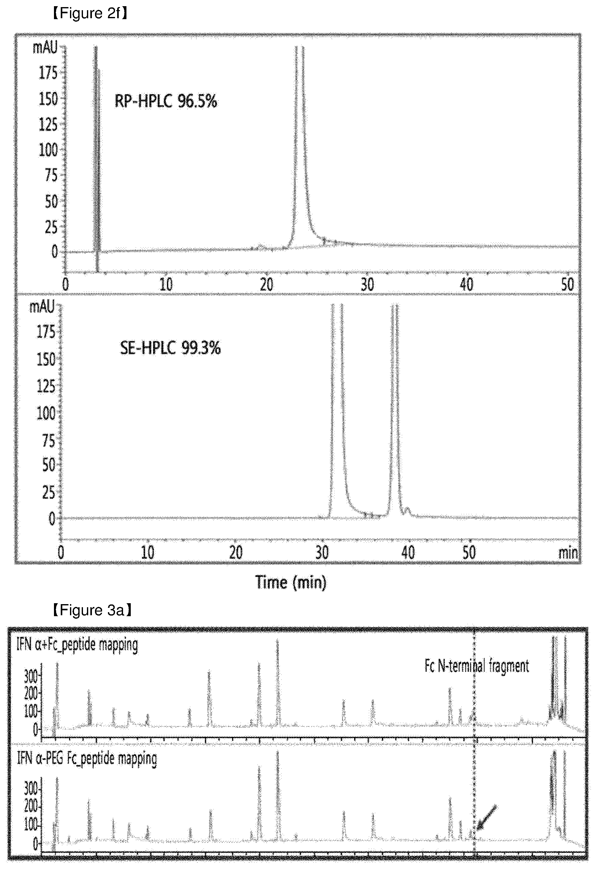 Patent US12508298 Figure 13 – Protein complex by use of a specific site of an immunoglobulin fragment for linkage