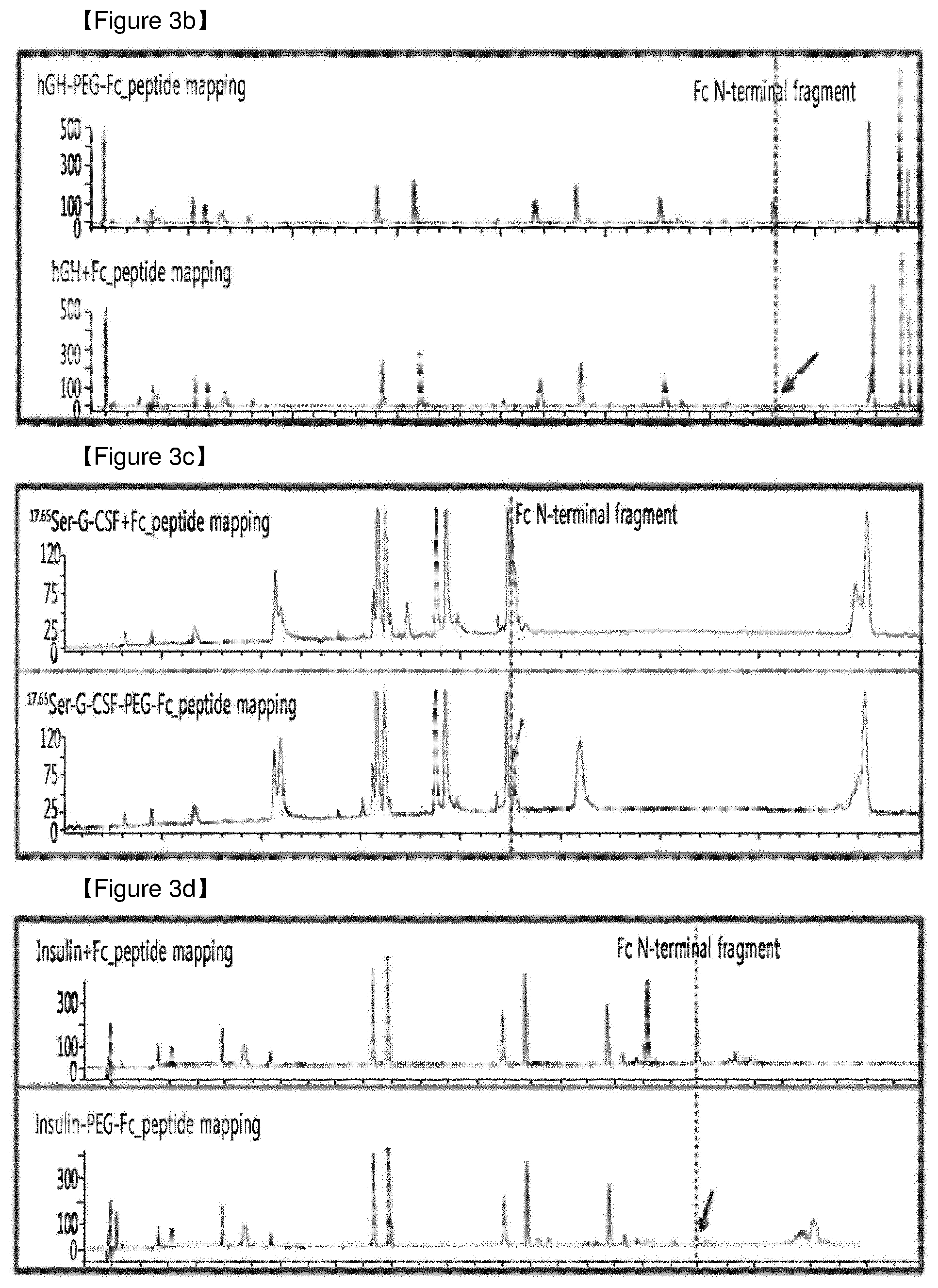 Patent US12508298 Figure 14 – Protein complex by use of a specific site of an immunoglobulin fragment for linkage