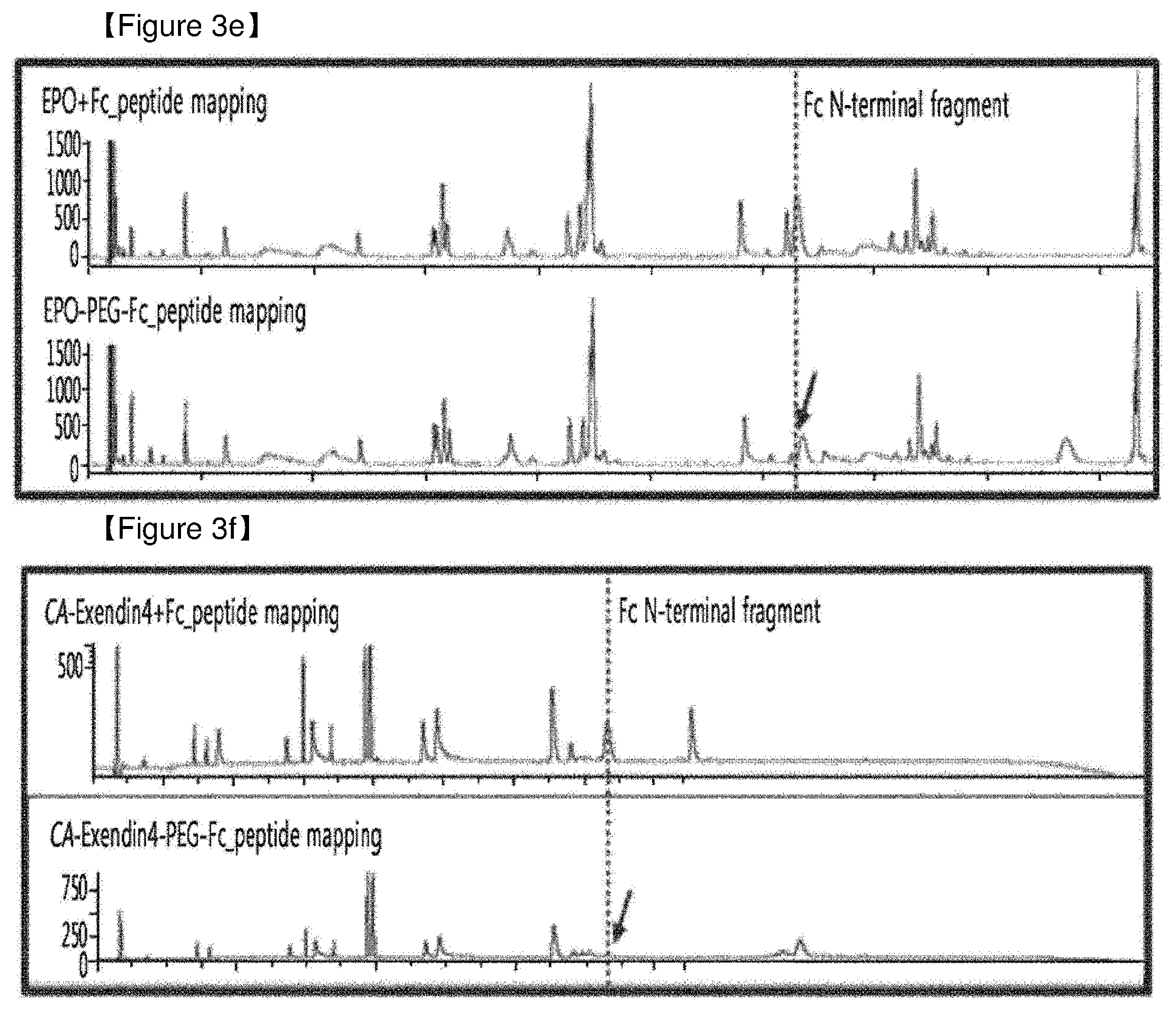 Patent US12508298 Figure 15 – Protein complex by use of a specific site of an immunoglobulin fragment for linkage