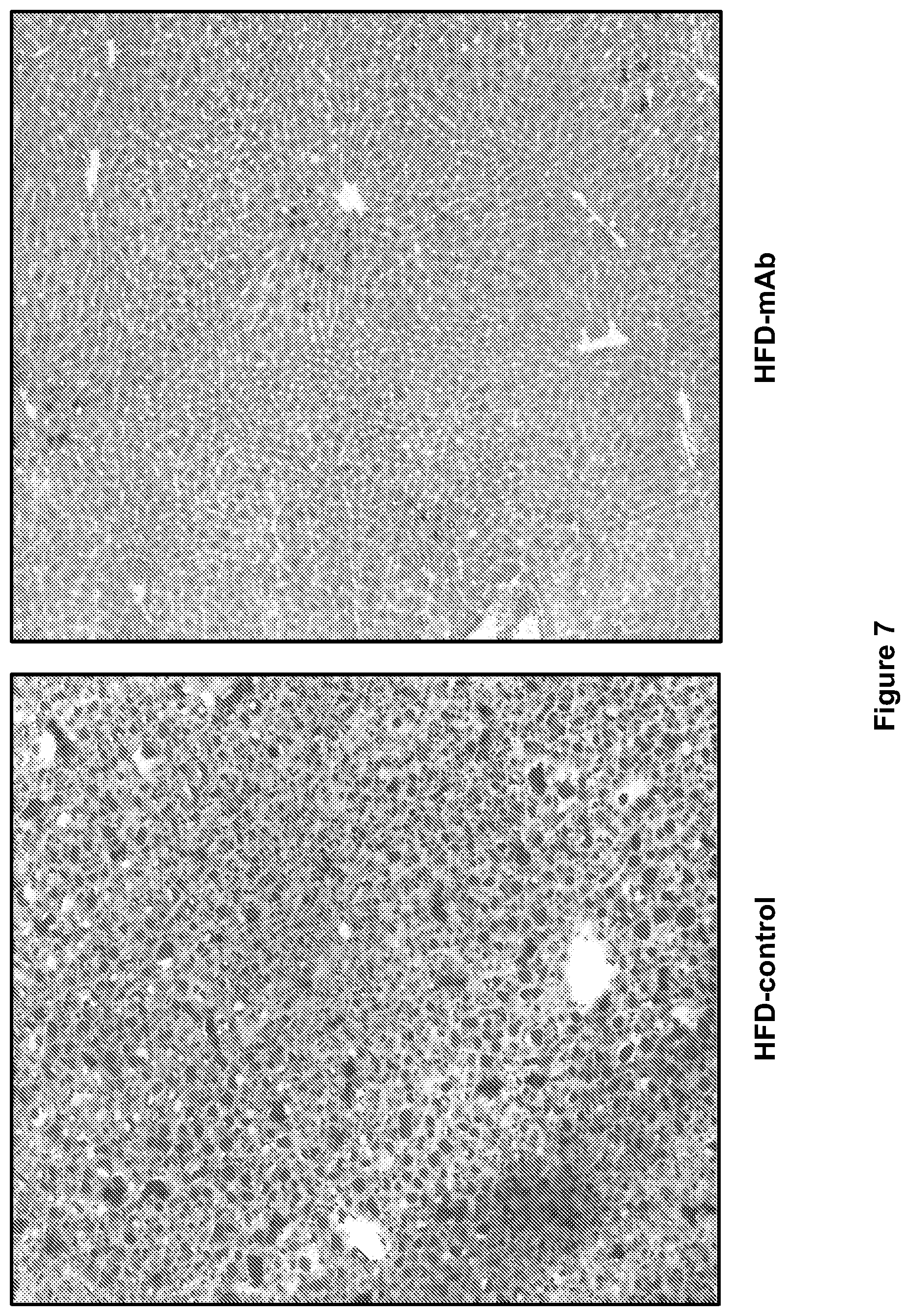 Patent US12508299 Figure 8 – Compositions and methods for treating obesity and hyperphagia