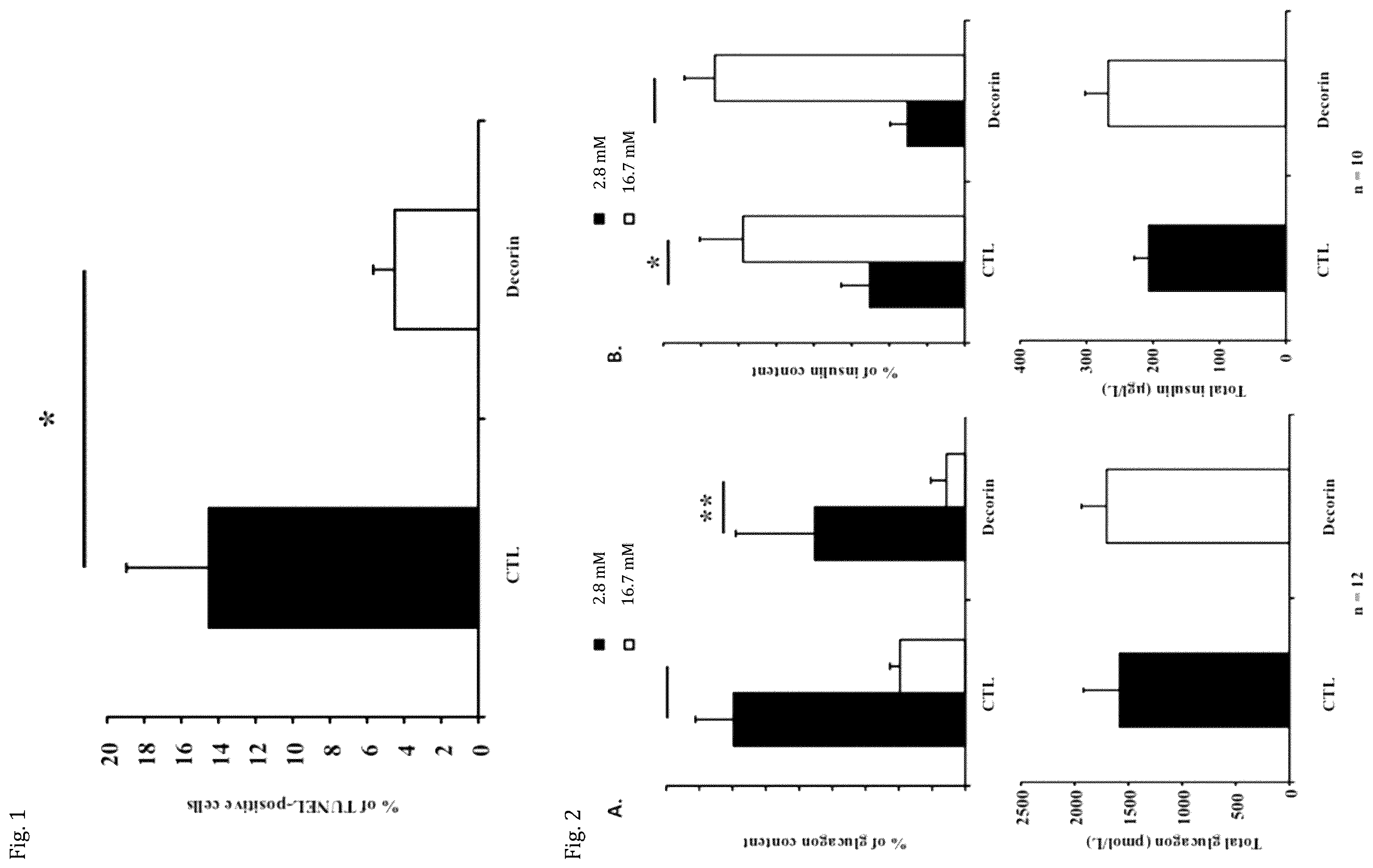 Patent US12508301 Figure 1 – Decorin for its use in the treatment of diabetes