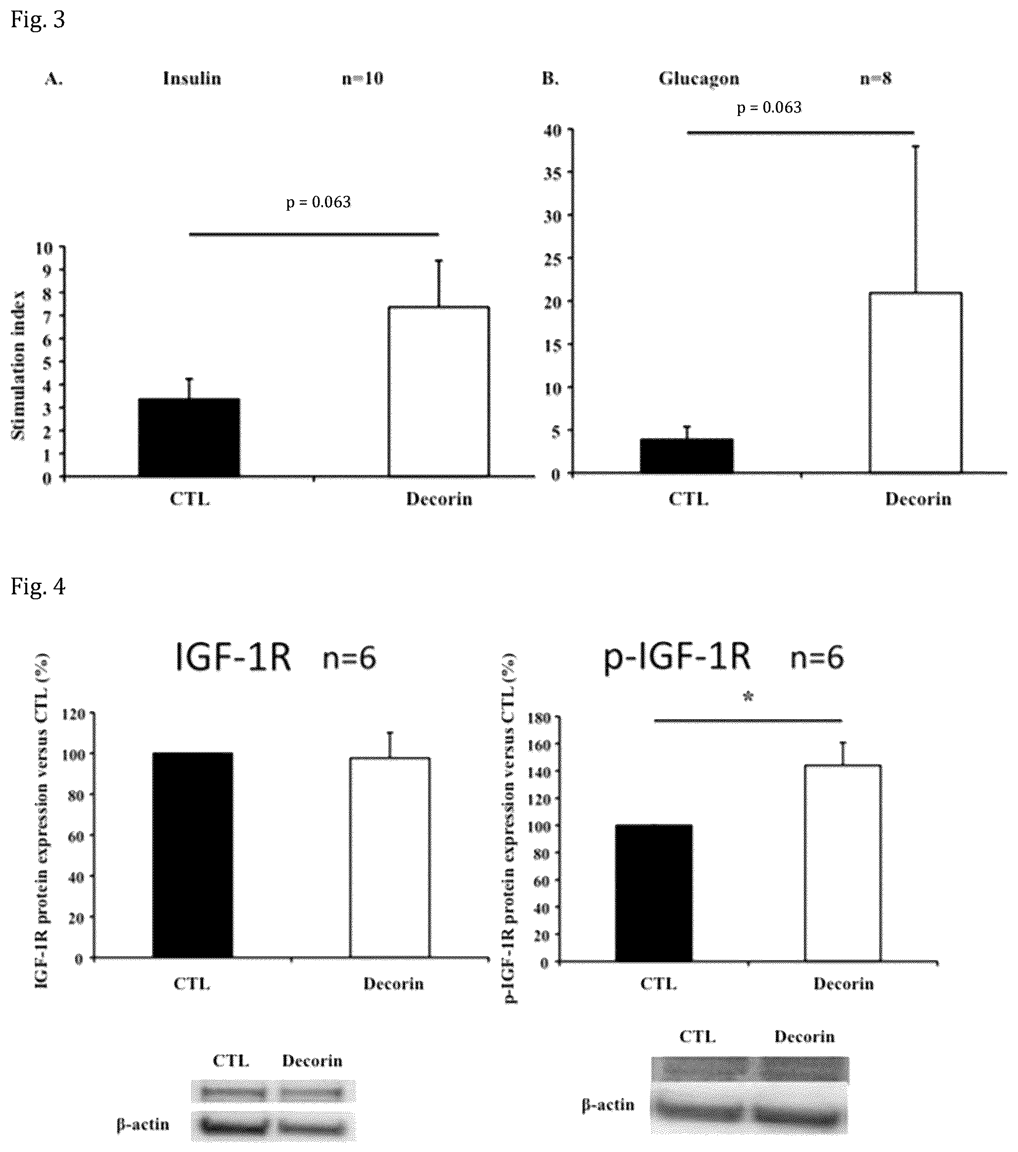 Patent US12508301 Figure 2 – Decorin for its use in the treatment of diabetes