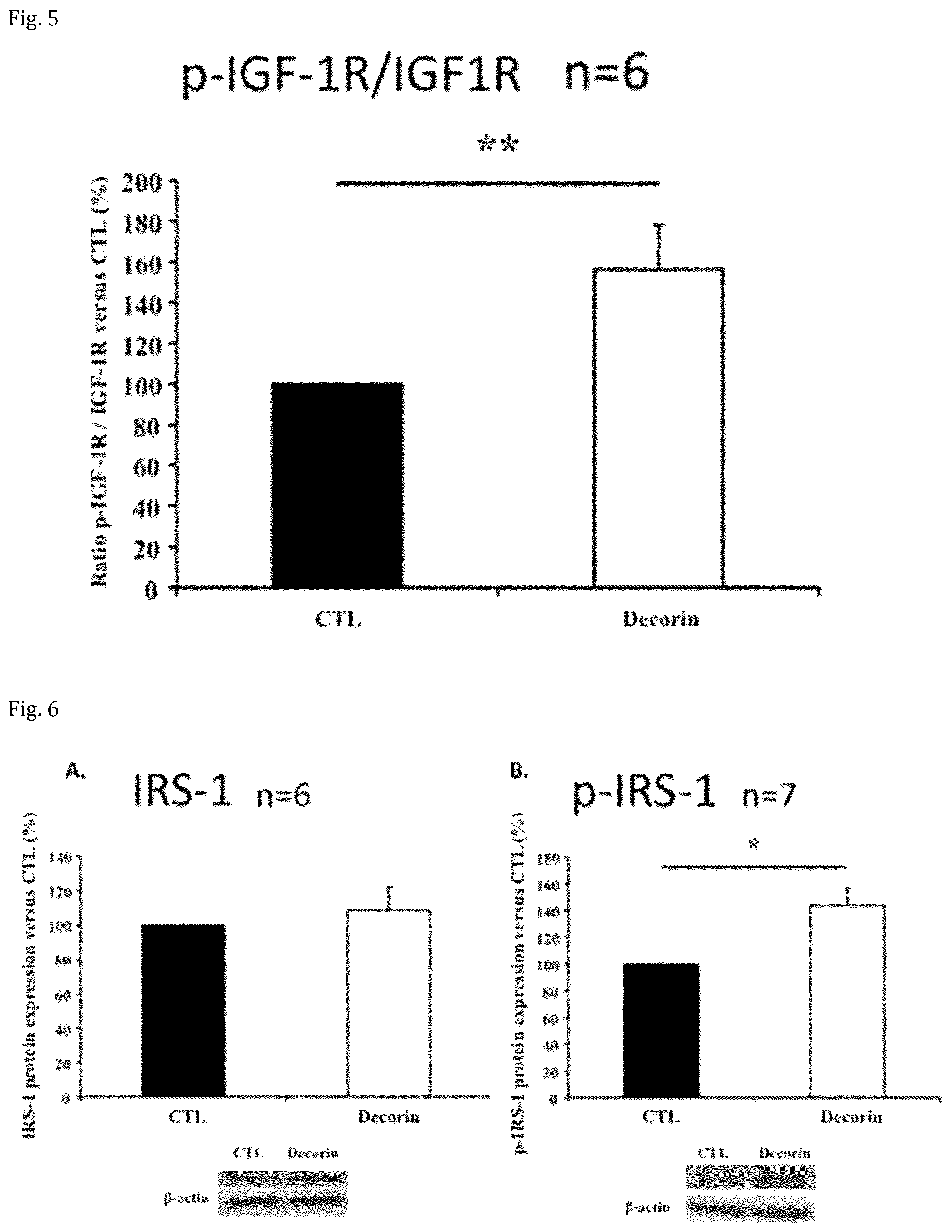 Patent US12508301 Figure 3 – Decorin for its use in the treatment of diabetes