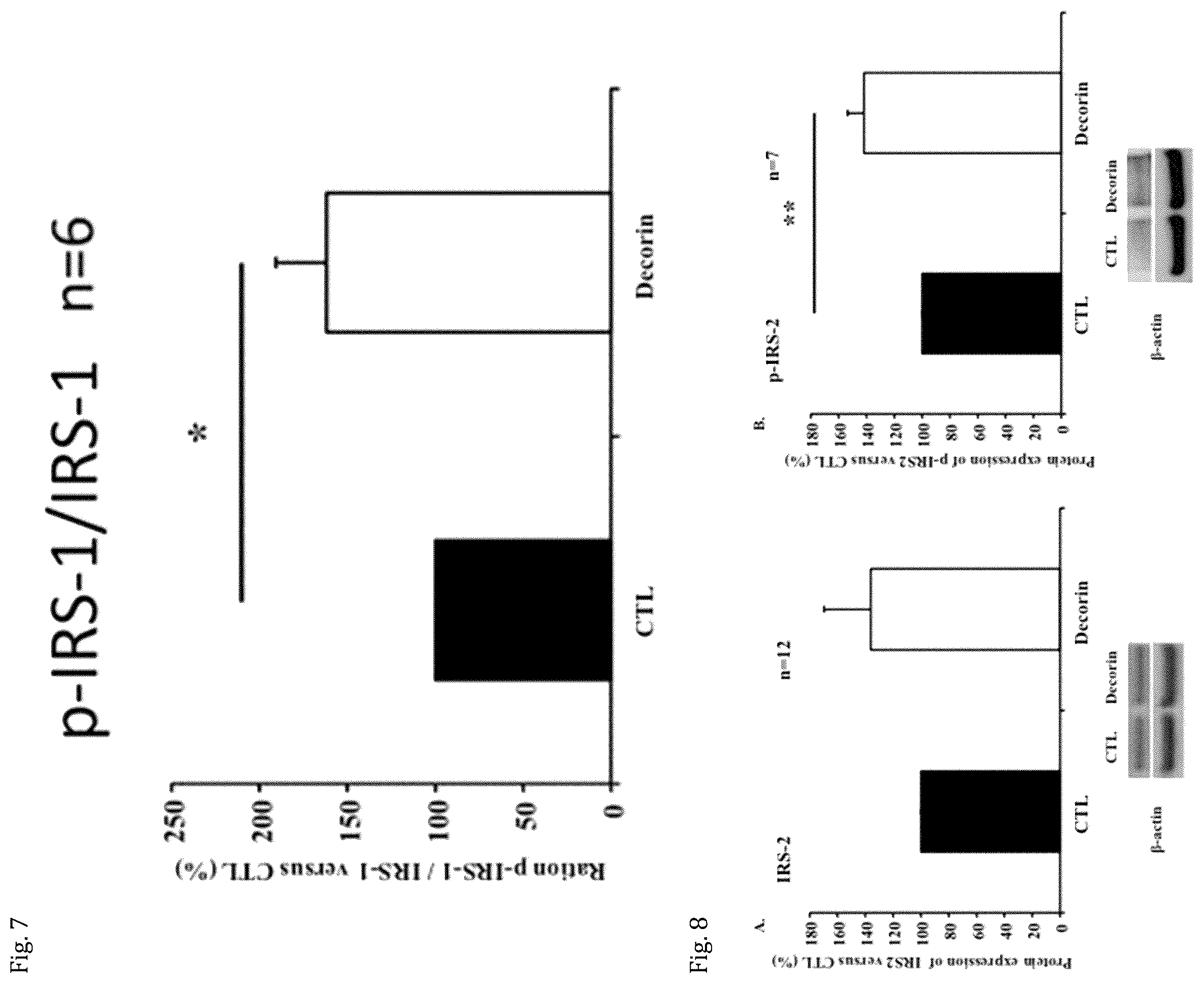 Patent US12508301 Figure 4 – Decorin for its use in the treatment of diabetes