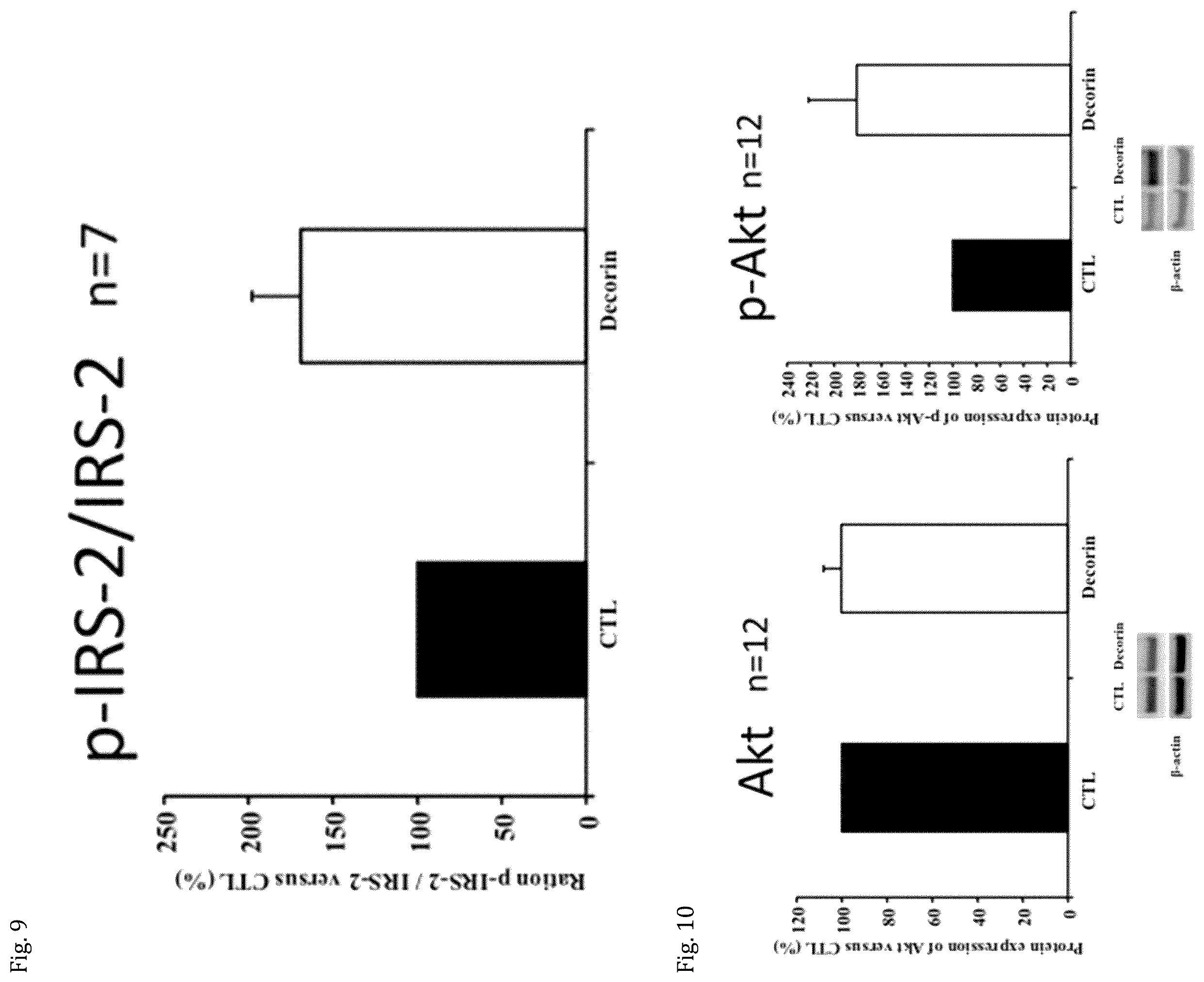 Patent US12508301 Figure 5 – Decorin for its use in the treatment of diabetes