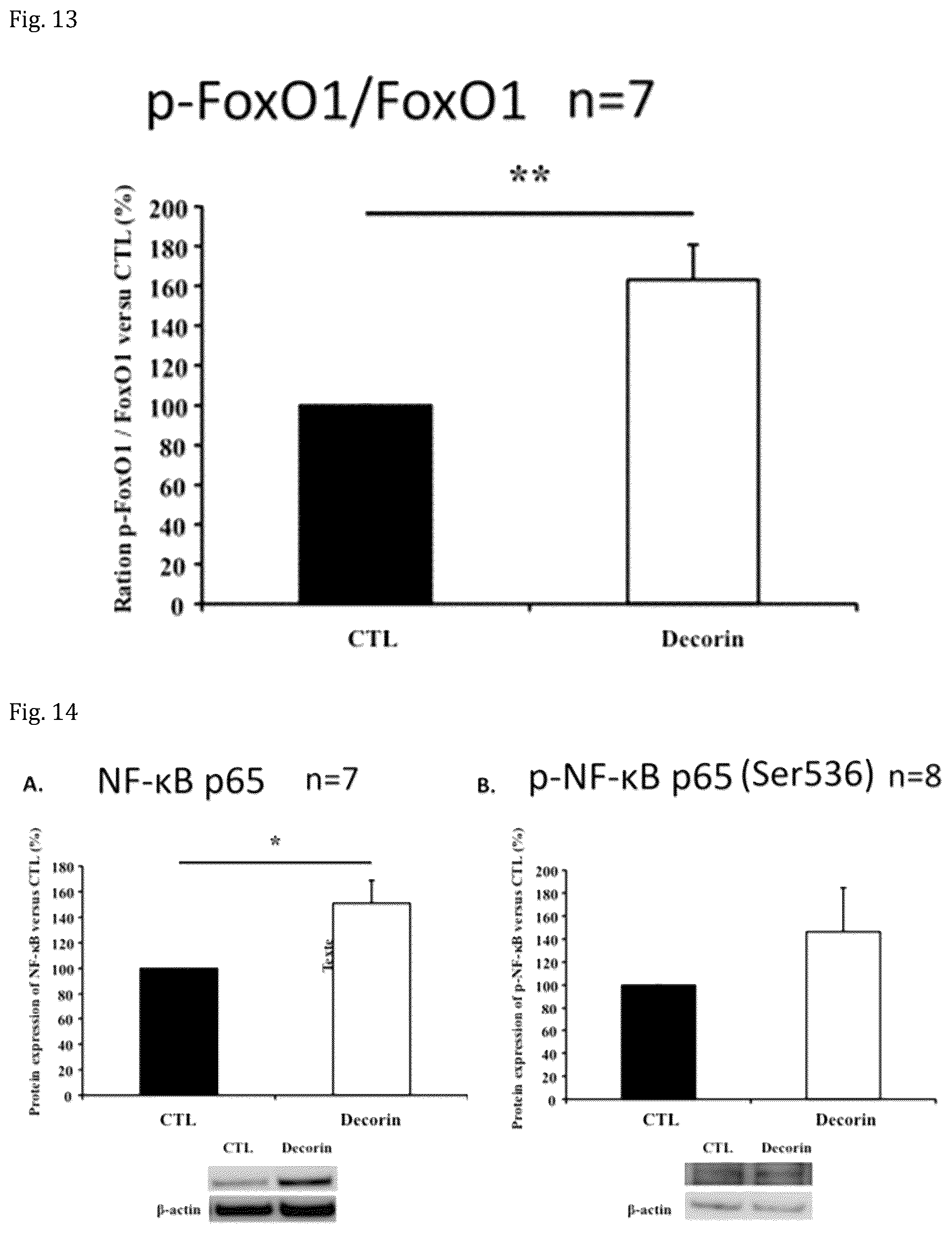 Patent US12508301 Figure 7 – Decorin for its use in the treatment of diabetes