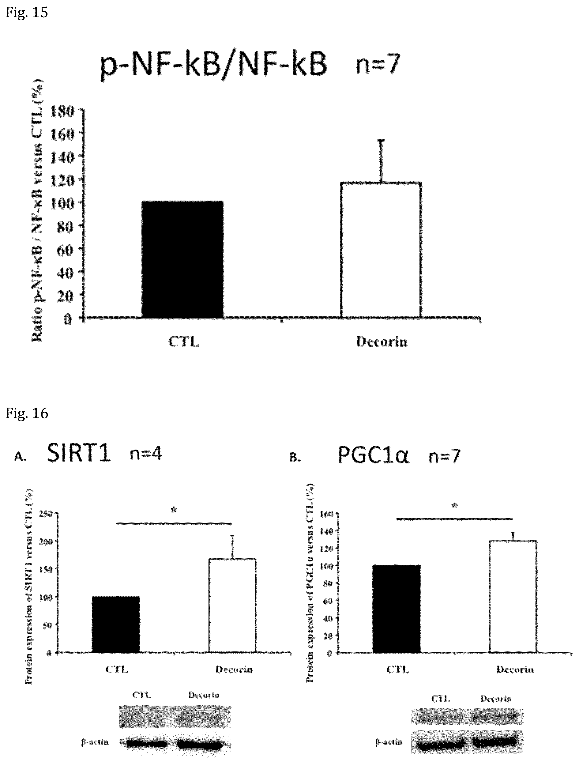 Patent US12508301 Figure 8 – Decorin for its use in the treatment of diabetes
