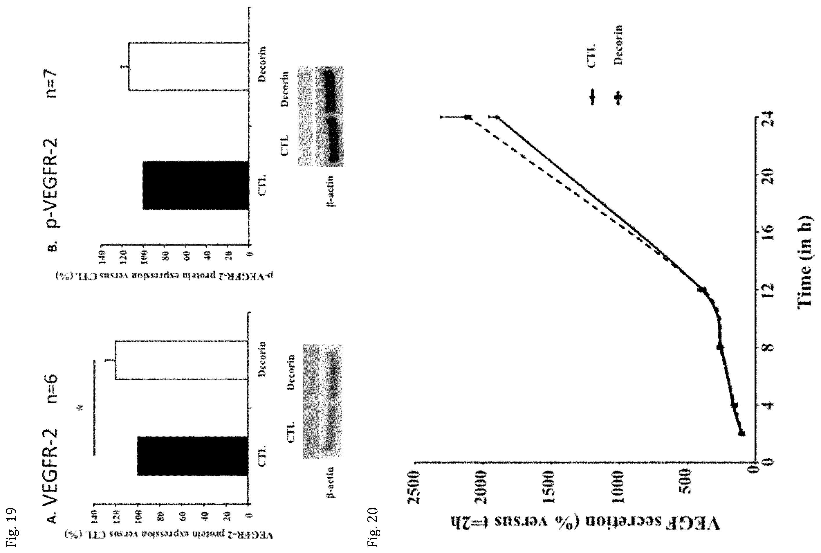 Patent US12508301 Figure 10 – Decorin for its use in the treatment of diabetes