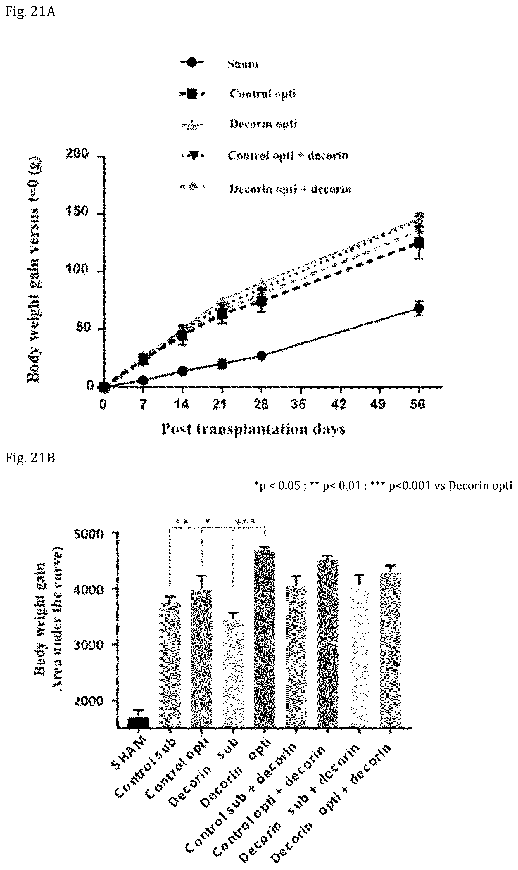 Patent US12508301 Figure 11 – Decorin for its use in the treatment of diabetes