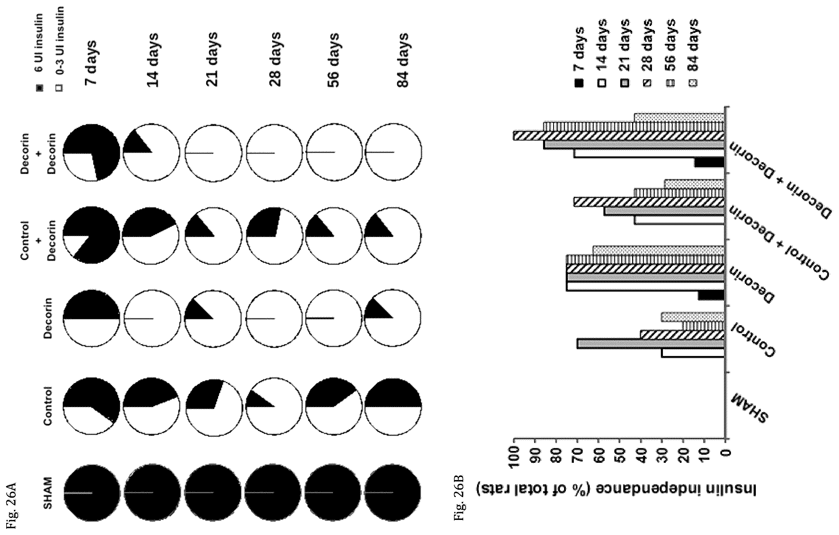 Patent US12508301 Figure 15 – Decorin for its use in the treatment of diabetes
