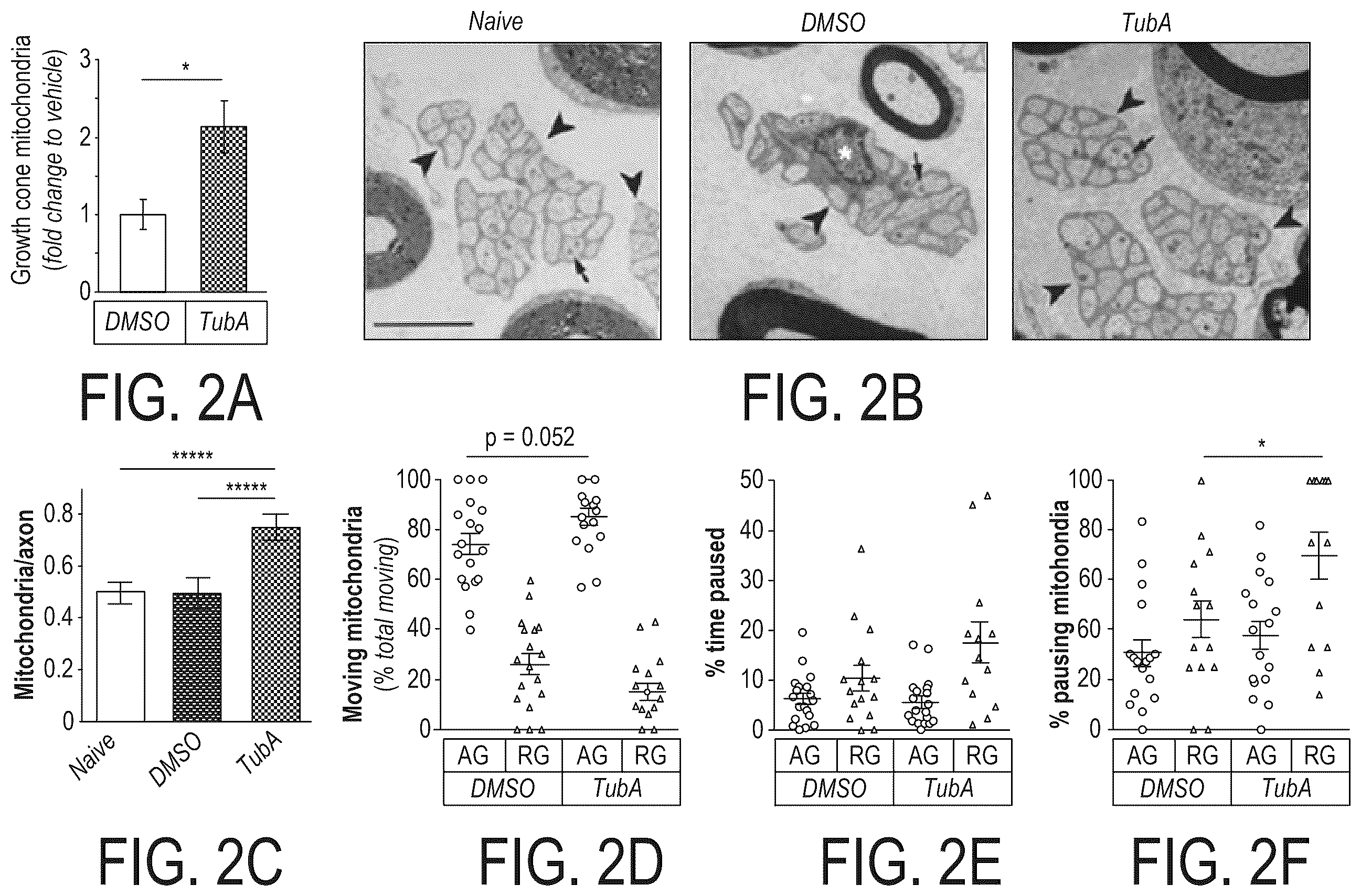 Patent US12508303 Figure 2 – Acetylation of Miro1