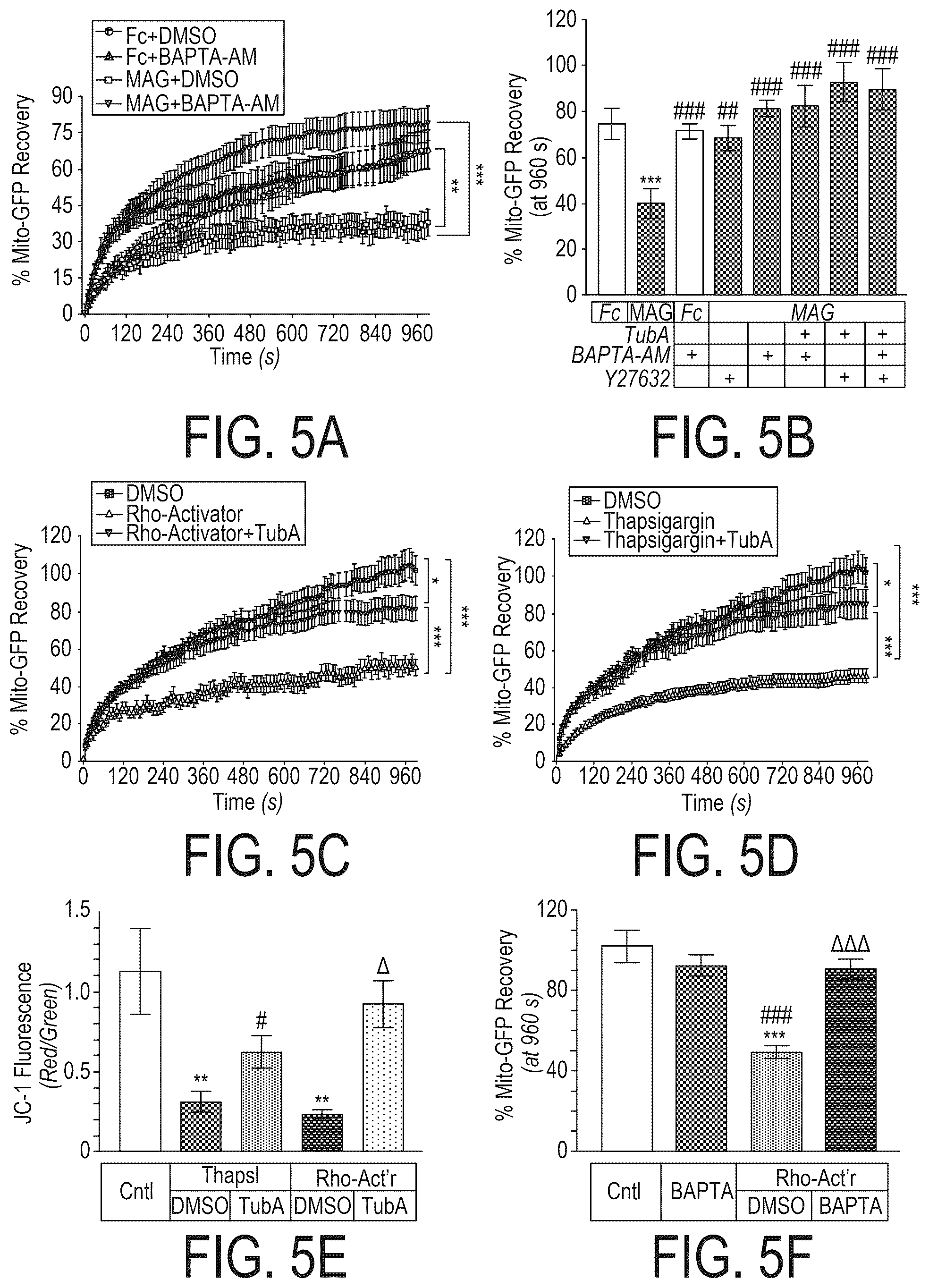Patent US12508303 Figure 7 – Acetylation of Miro1