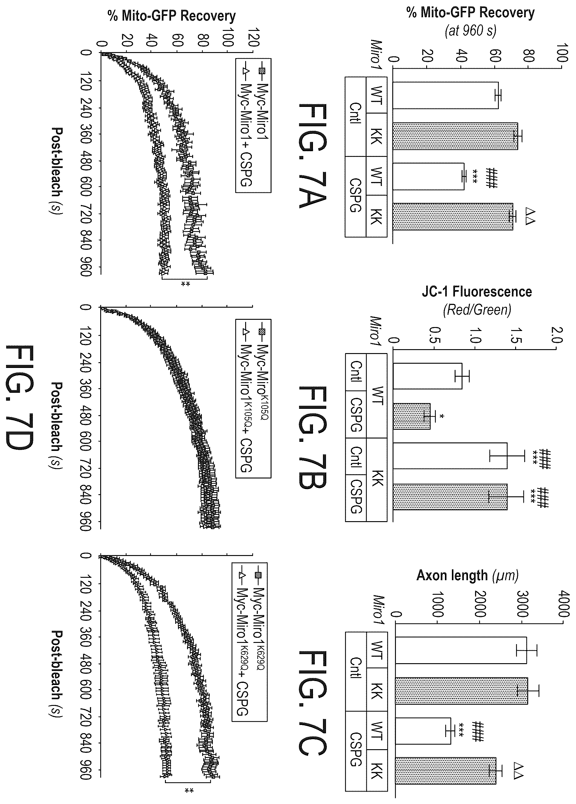 Patent US12508303 Figure 10 – Acetylation of Miro1