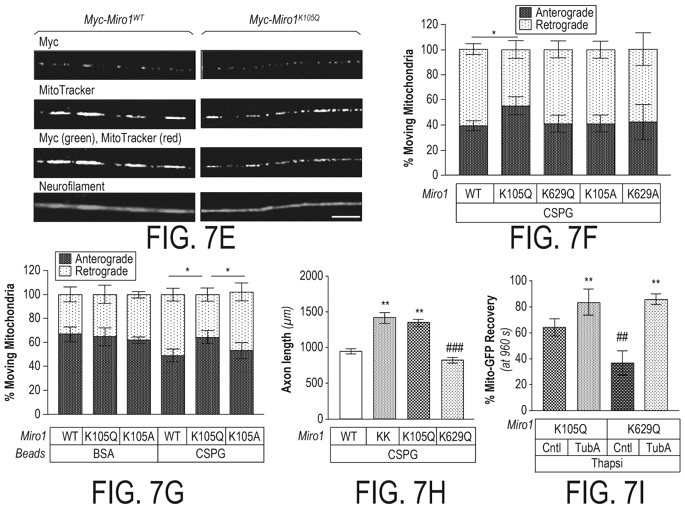 Patent US12508303 Figure 11 – Acetylation of Miro1
