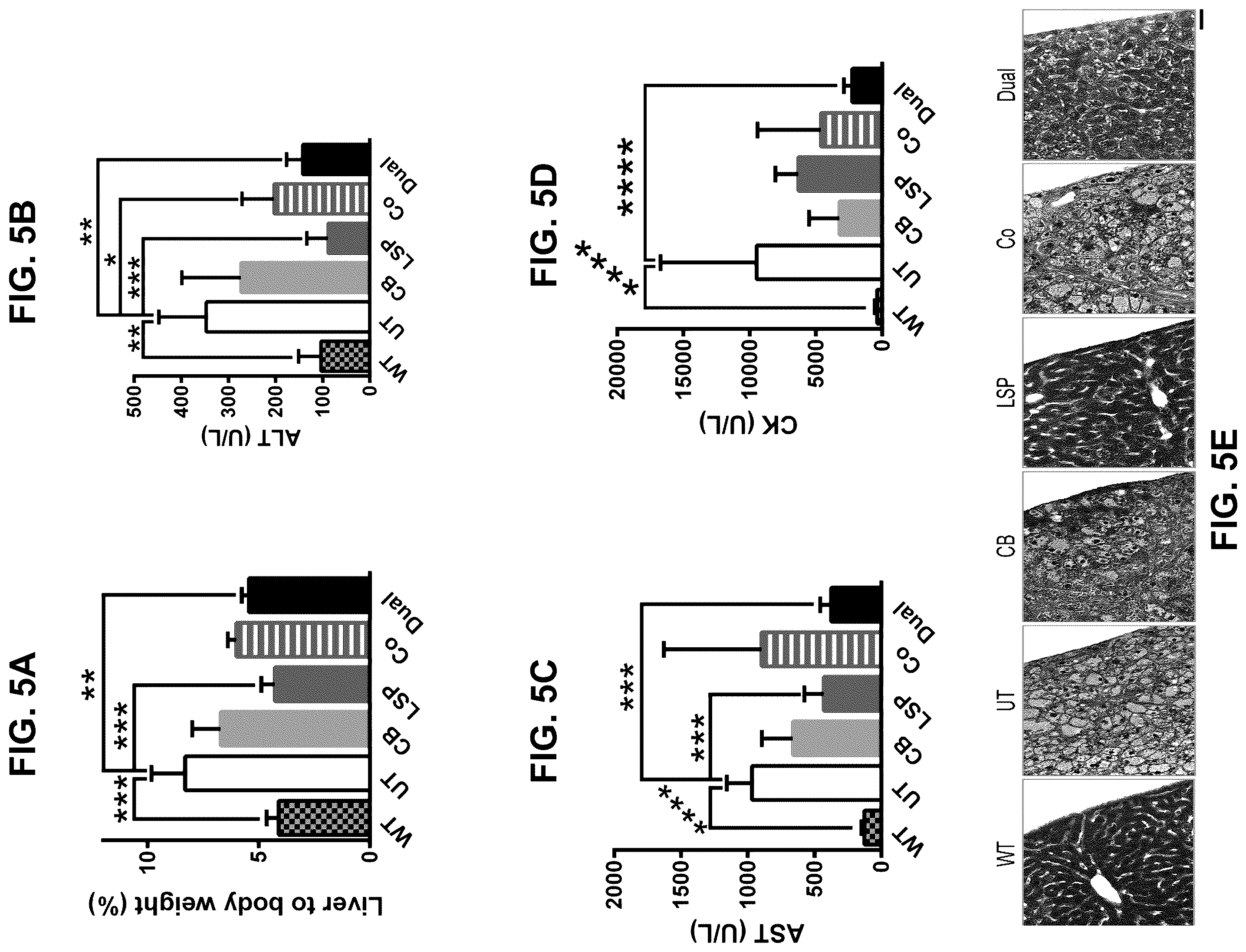 Patent US12508305 Figure 6 – Compositions and methods for treating and/or preventing glycogen storage disease type III
