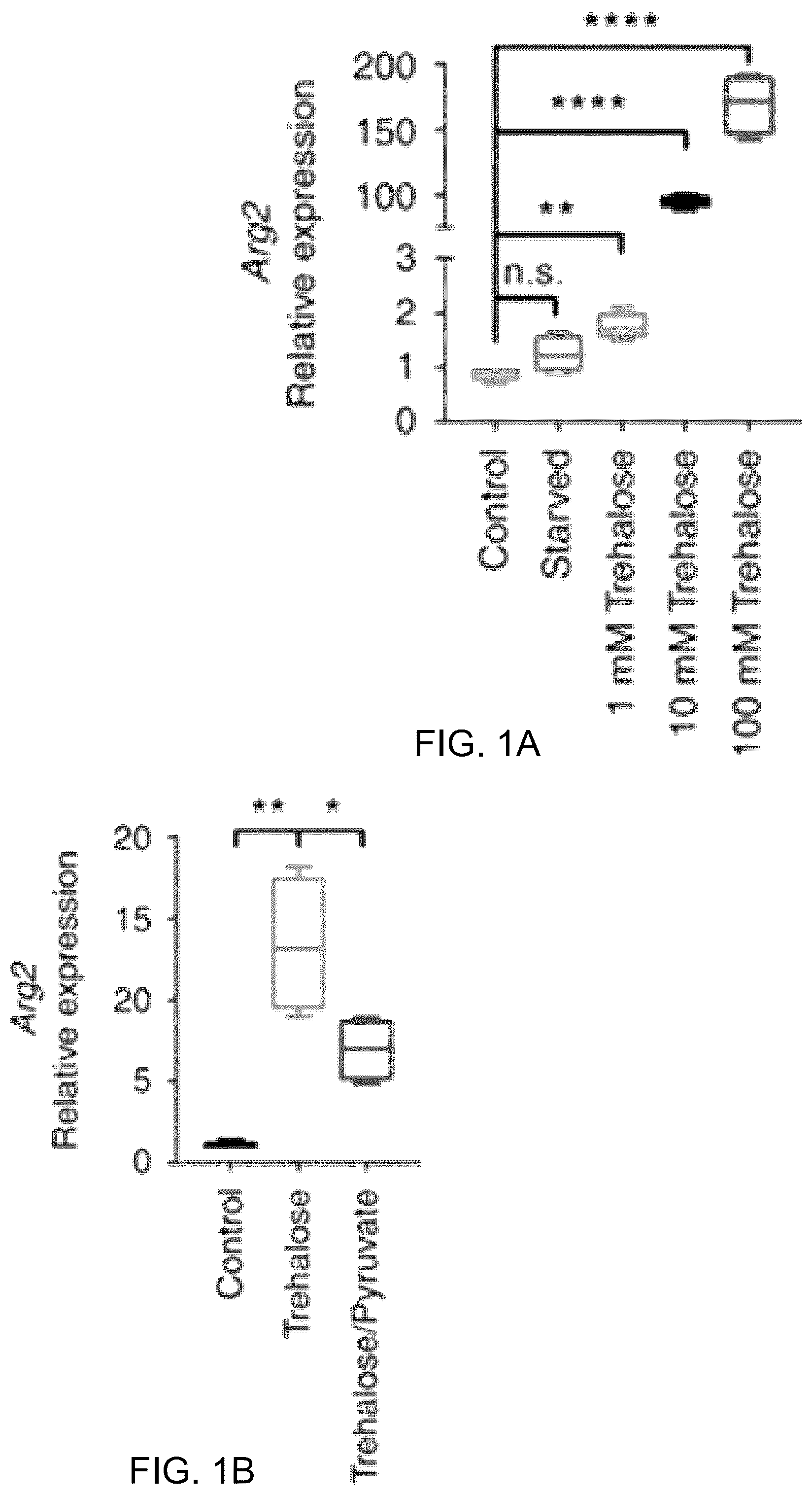 Patent US12508306 — Compositions and methods of use thereof for treatment of metabolic diseases and related disorders — Figure 1