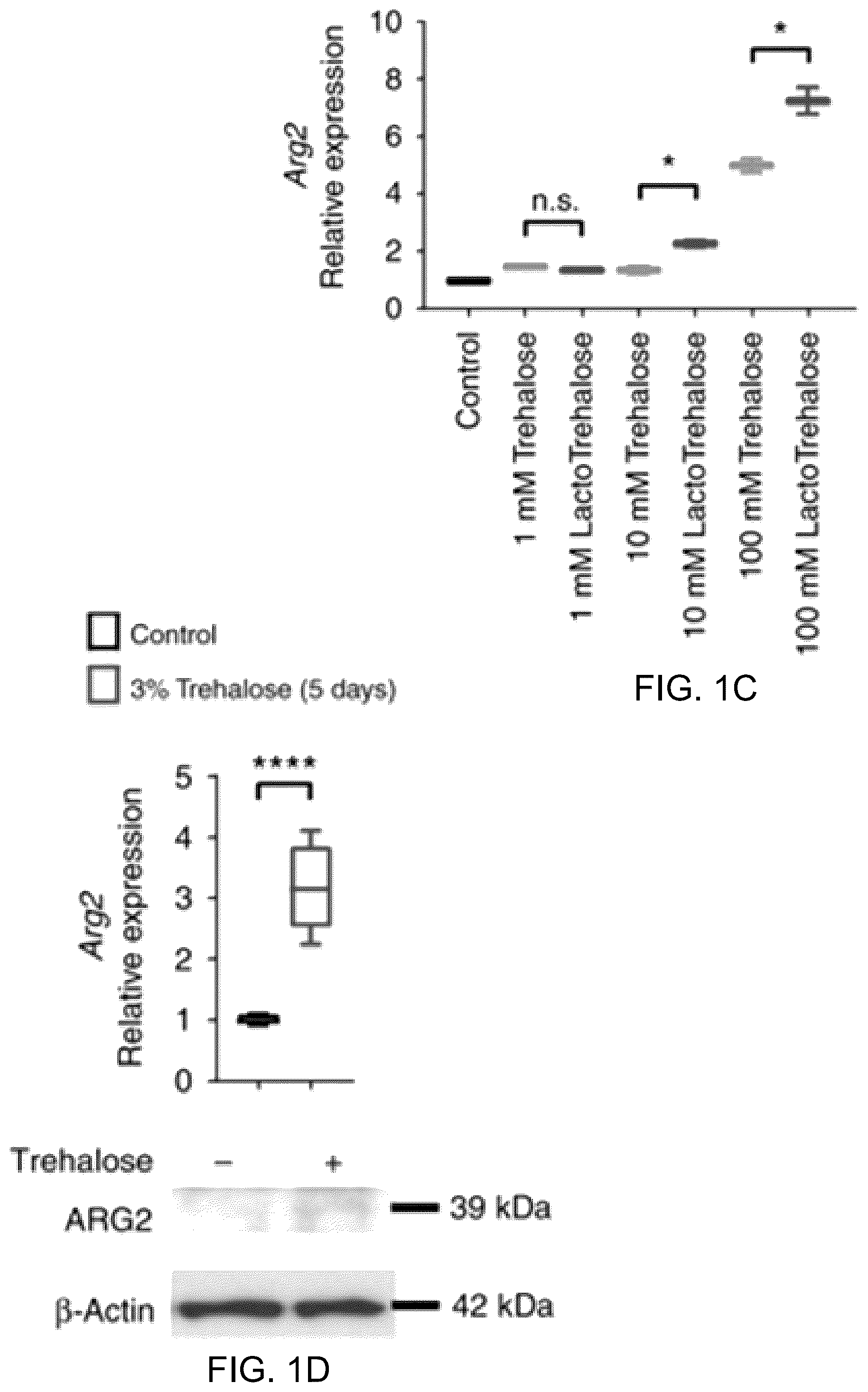 Patent US12508306 Figure 2 – Compositions and methods of use thereof for treatment of metabolic diseases and related disorders