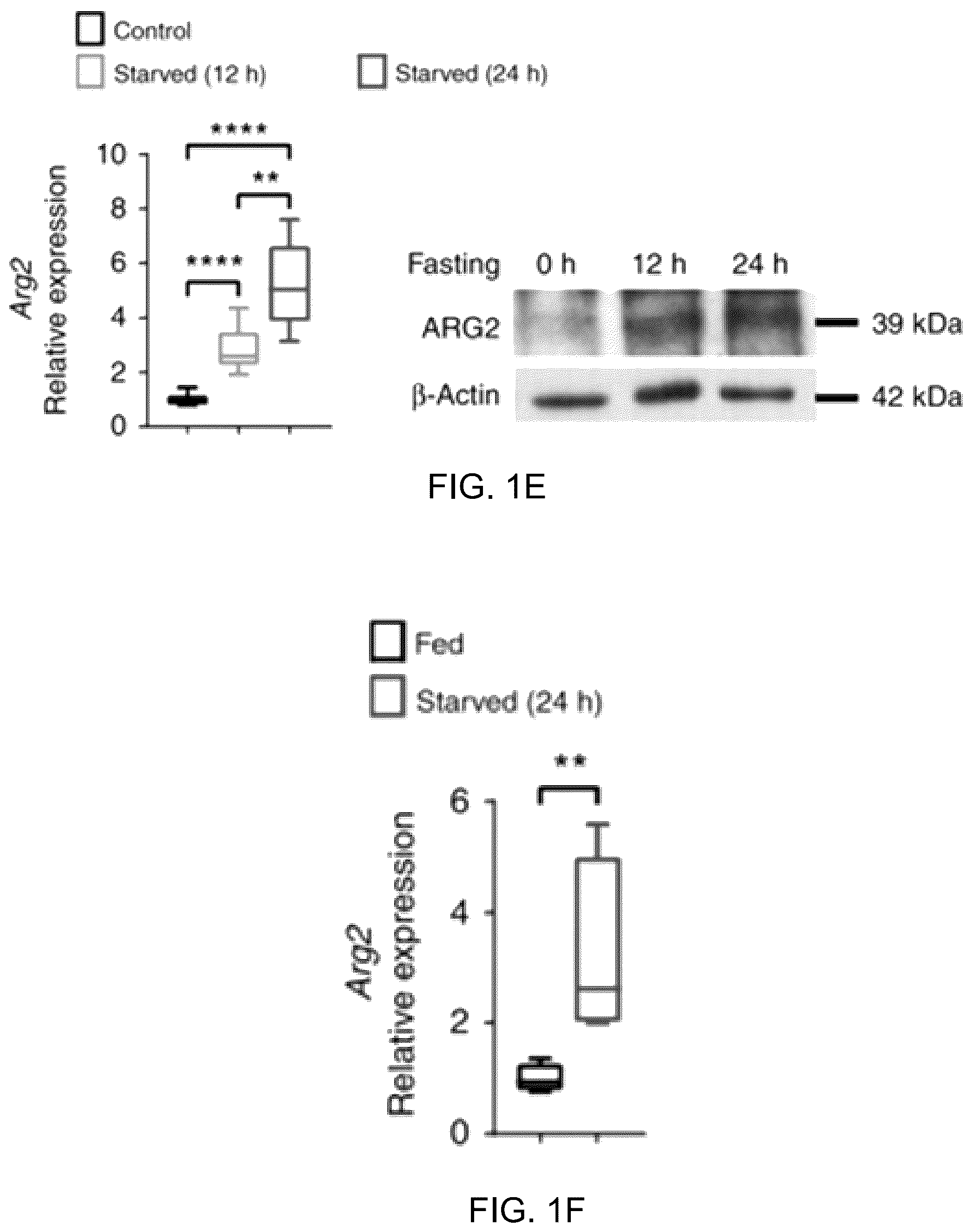 Patent US12508306 Figure 3 – Compositions and methods of use thereof for treatment of metabolic diseases and related disorders