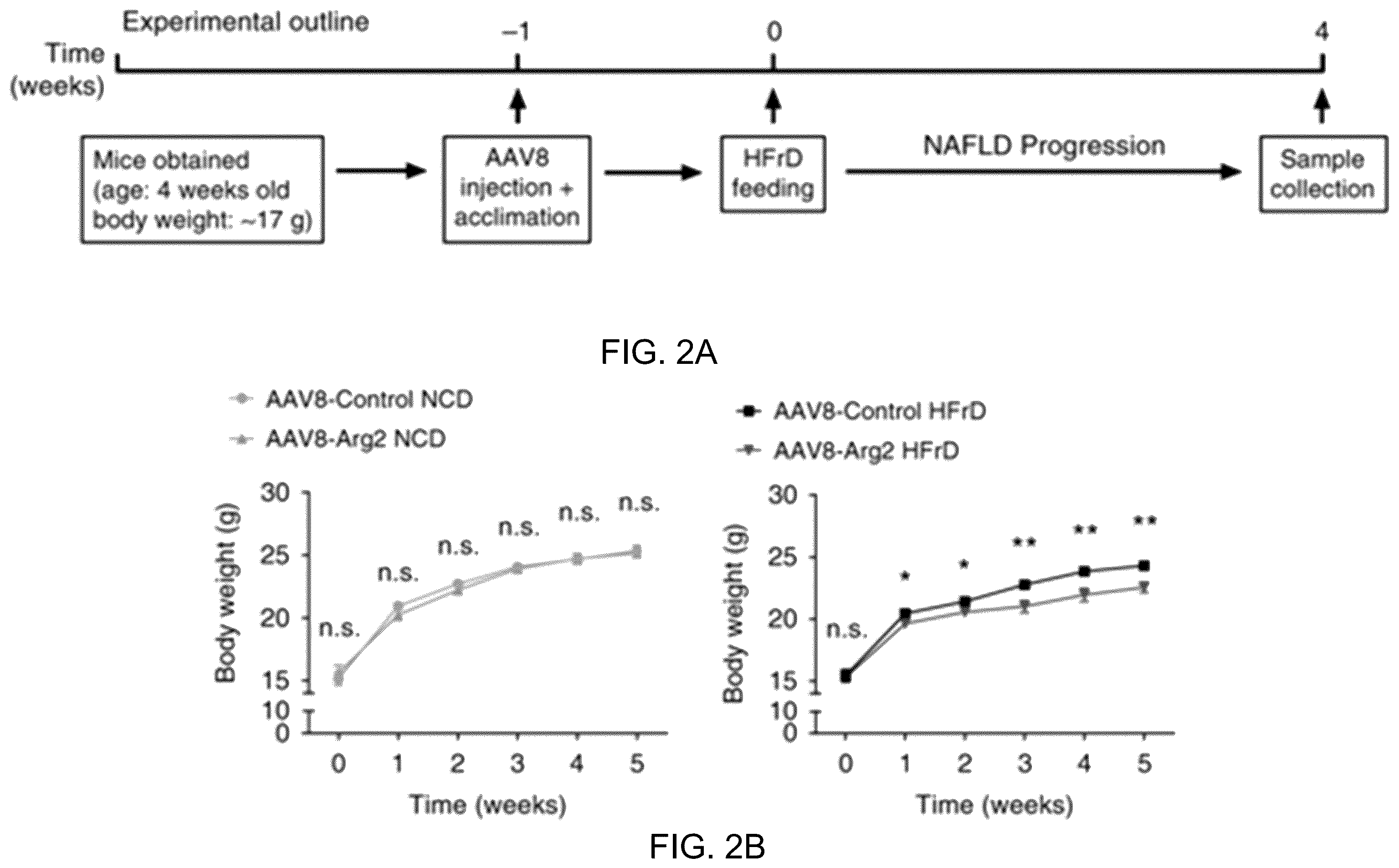Patent US12508306 Figure 6 – Compositions and methods of use thereof for treatment of metabolic diseases and related disorders