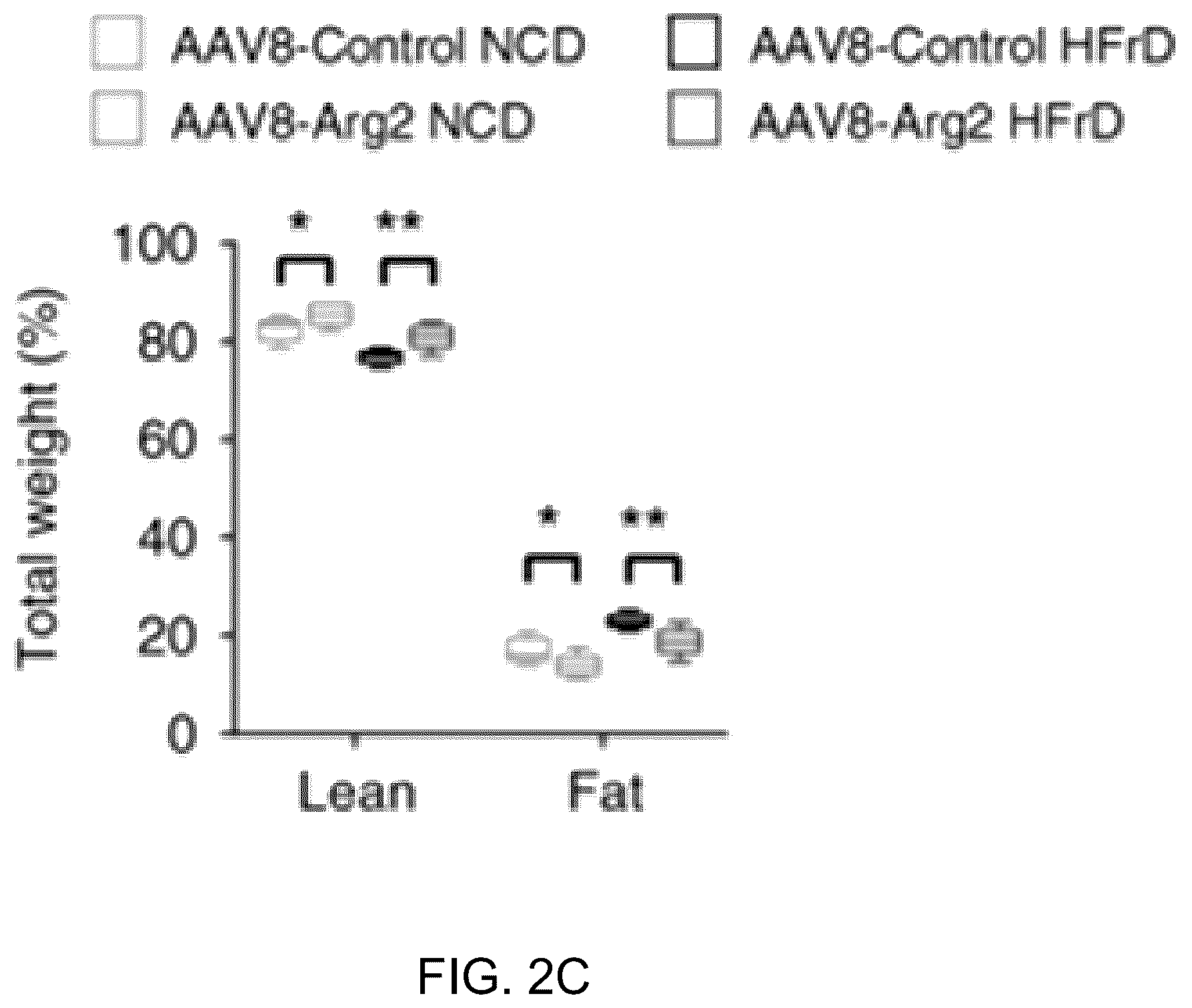 Patent US12508306 Figure 7 – Compositions and methods of use thereof for treatment of metabolic diseases and related disorders