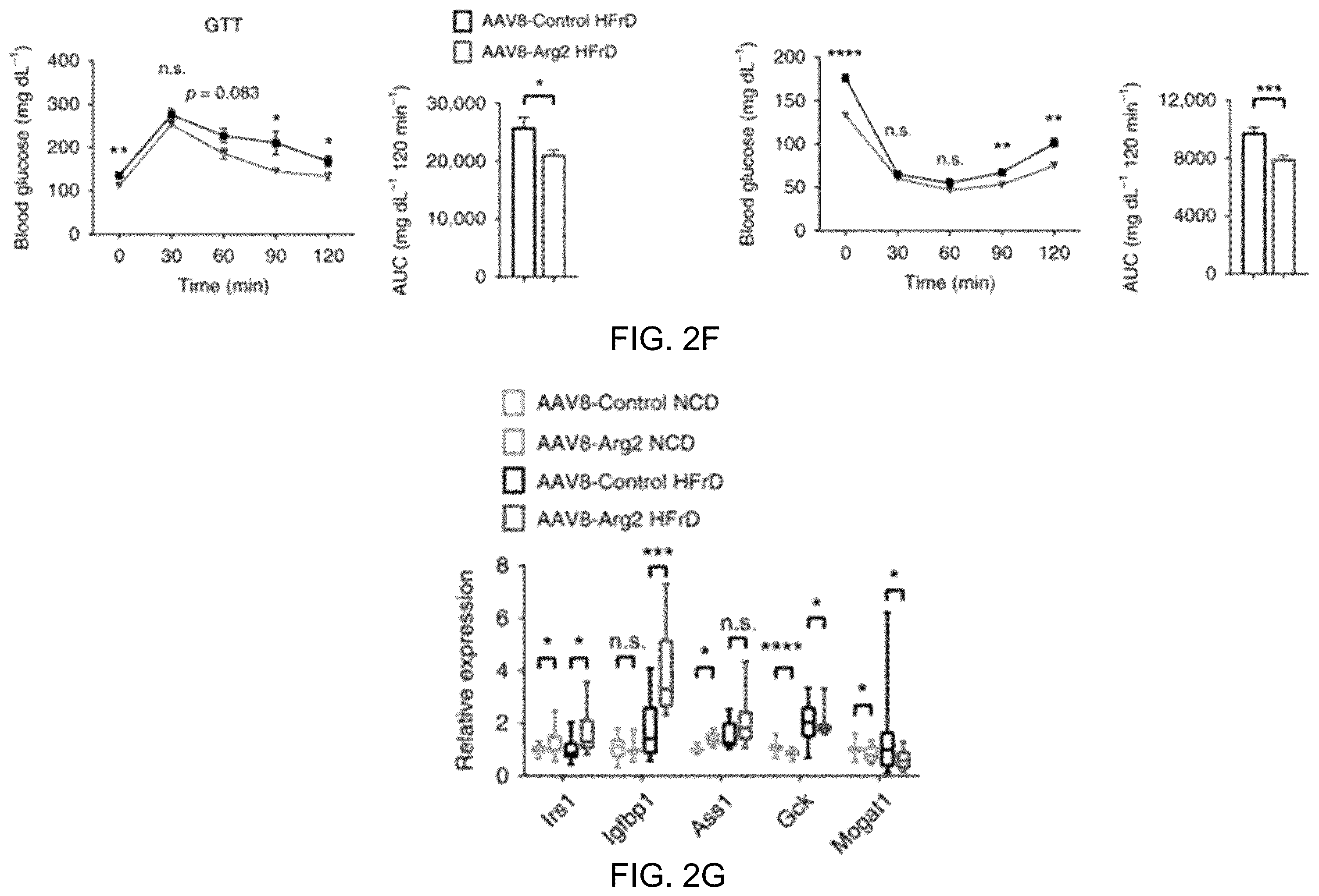 Patent US12508306 Figure 10 – Compositions and methods of use thereof for treatment of metabolic diseases and related disorders